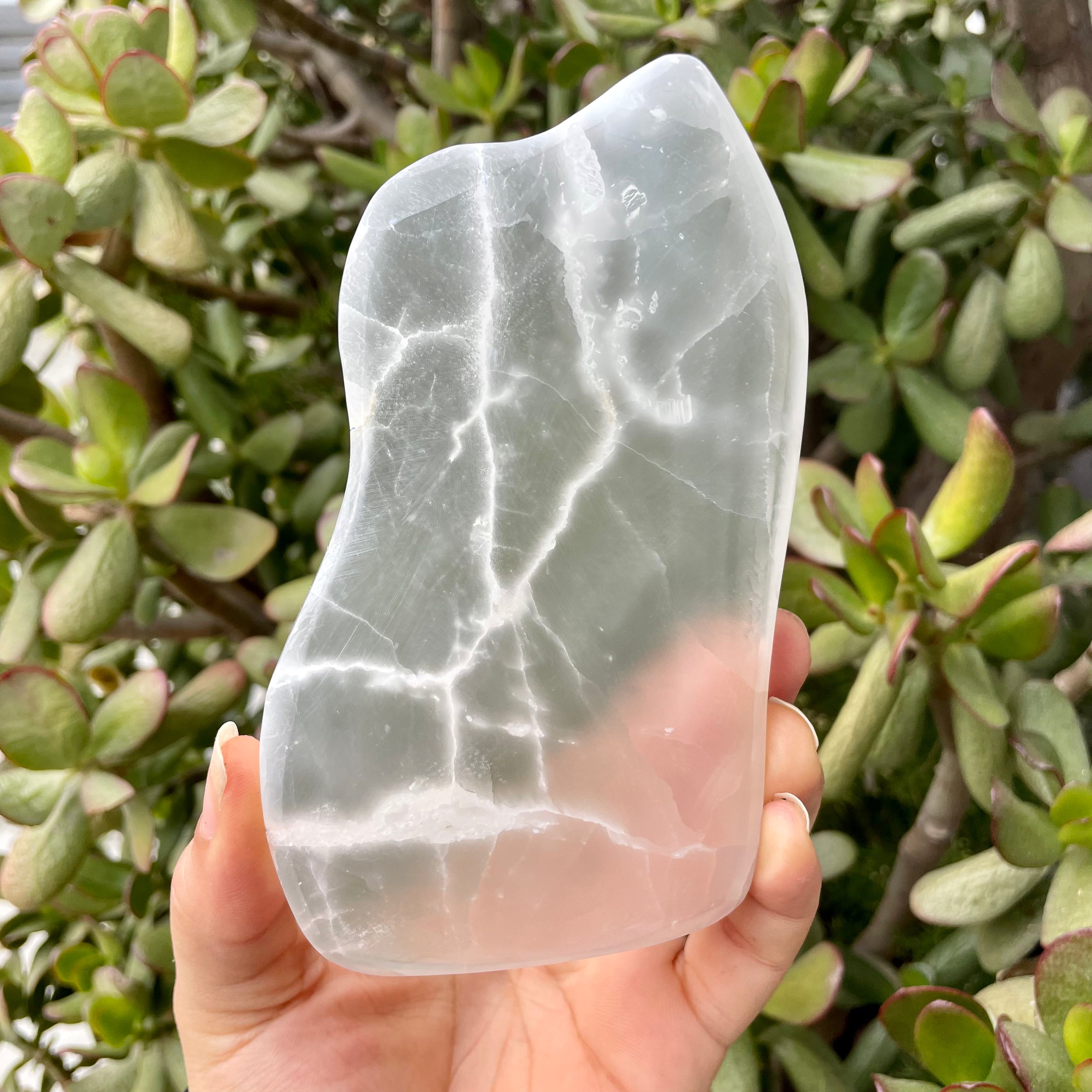 Optical Selenite Satin Spar Slabs