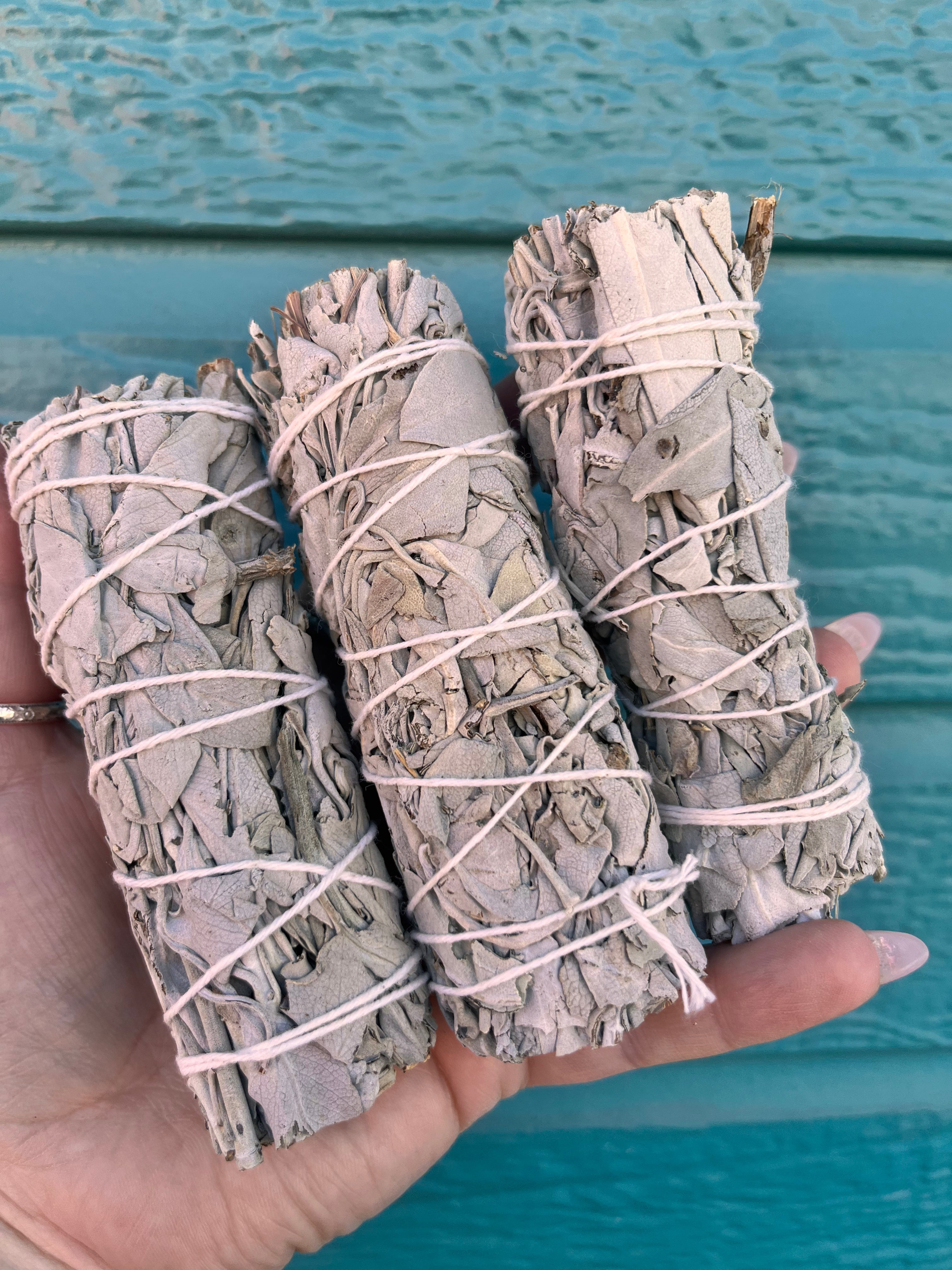 California White Sage