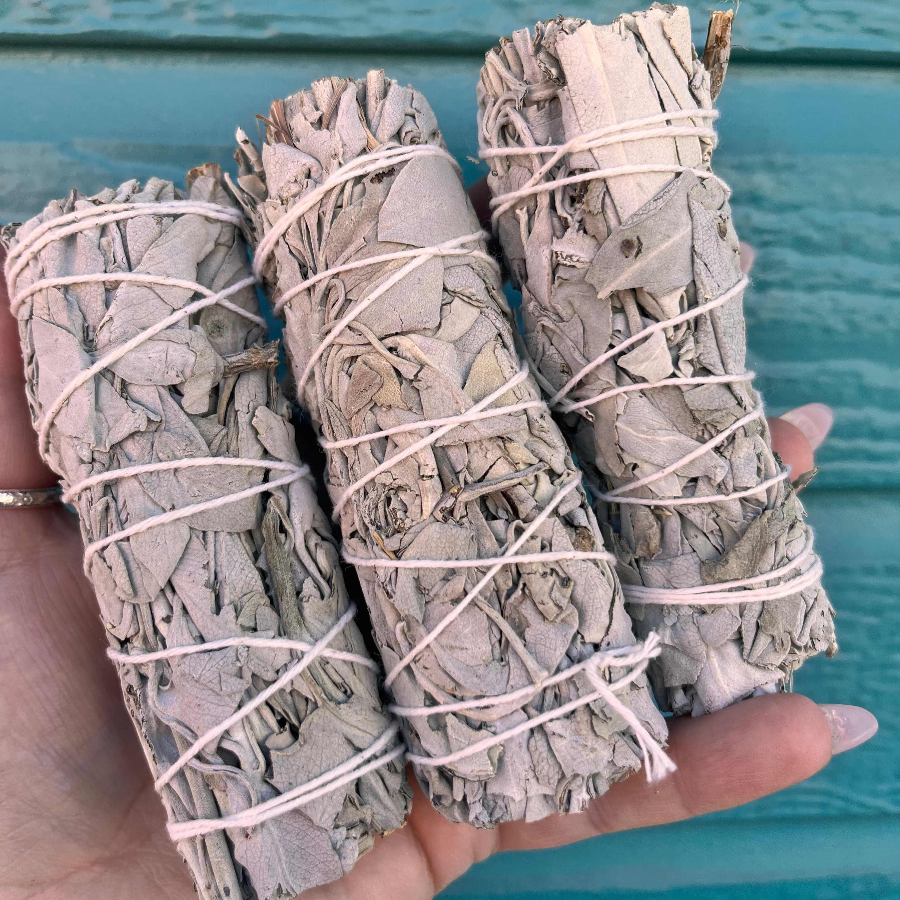 California White Sage