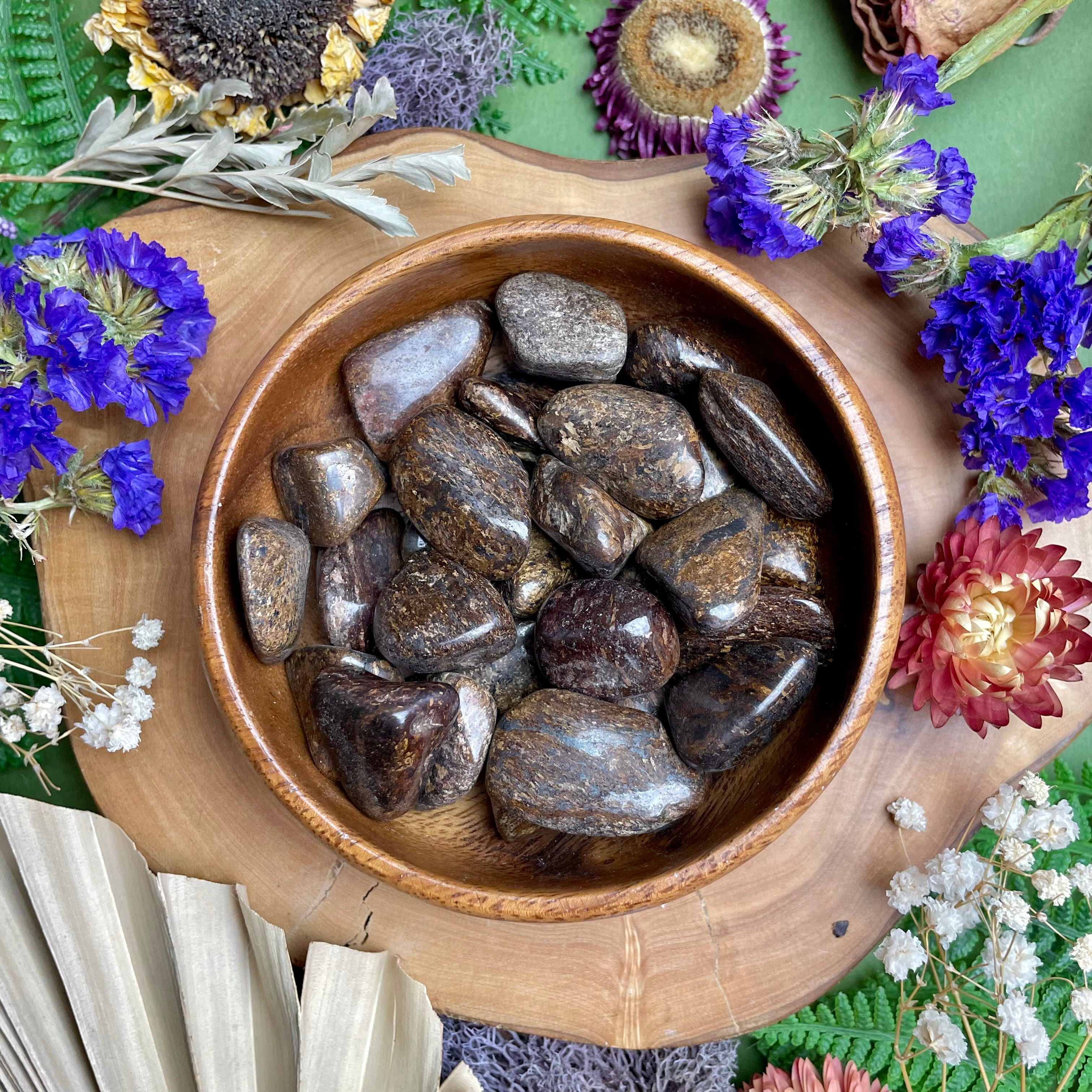 Bronzite Tumbled Stones