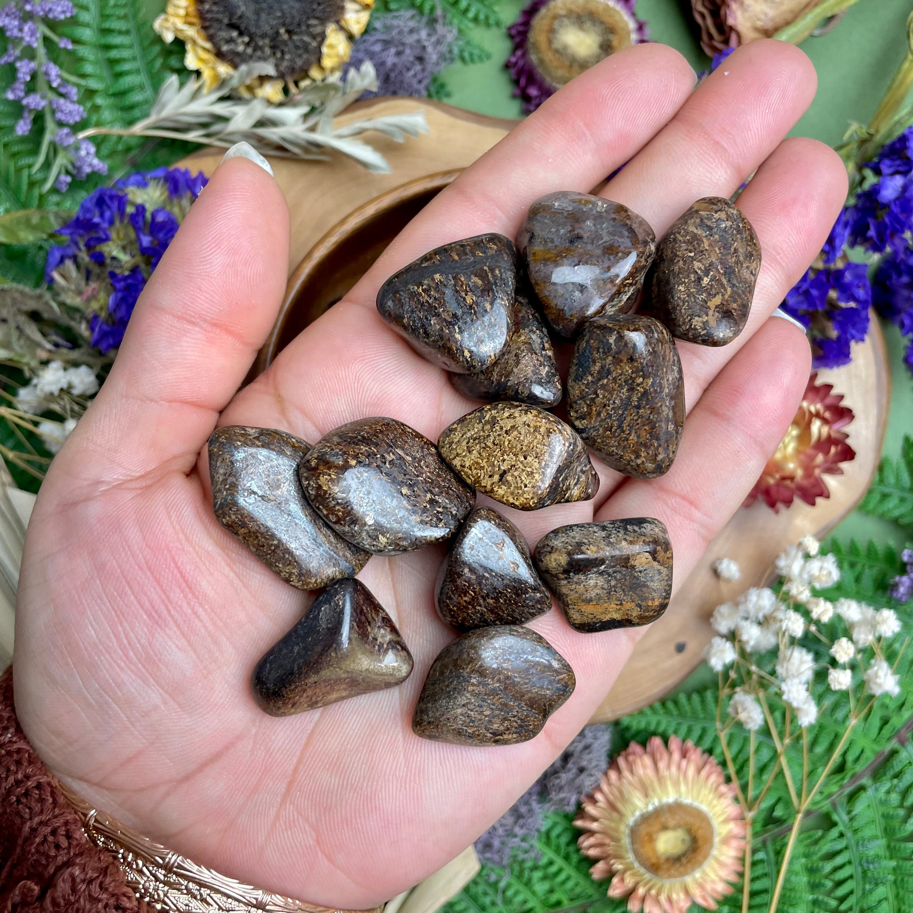 Bronzite Tumbled Stones