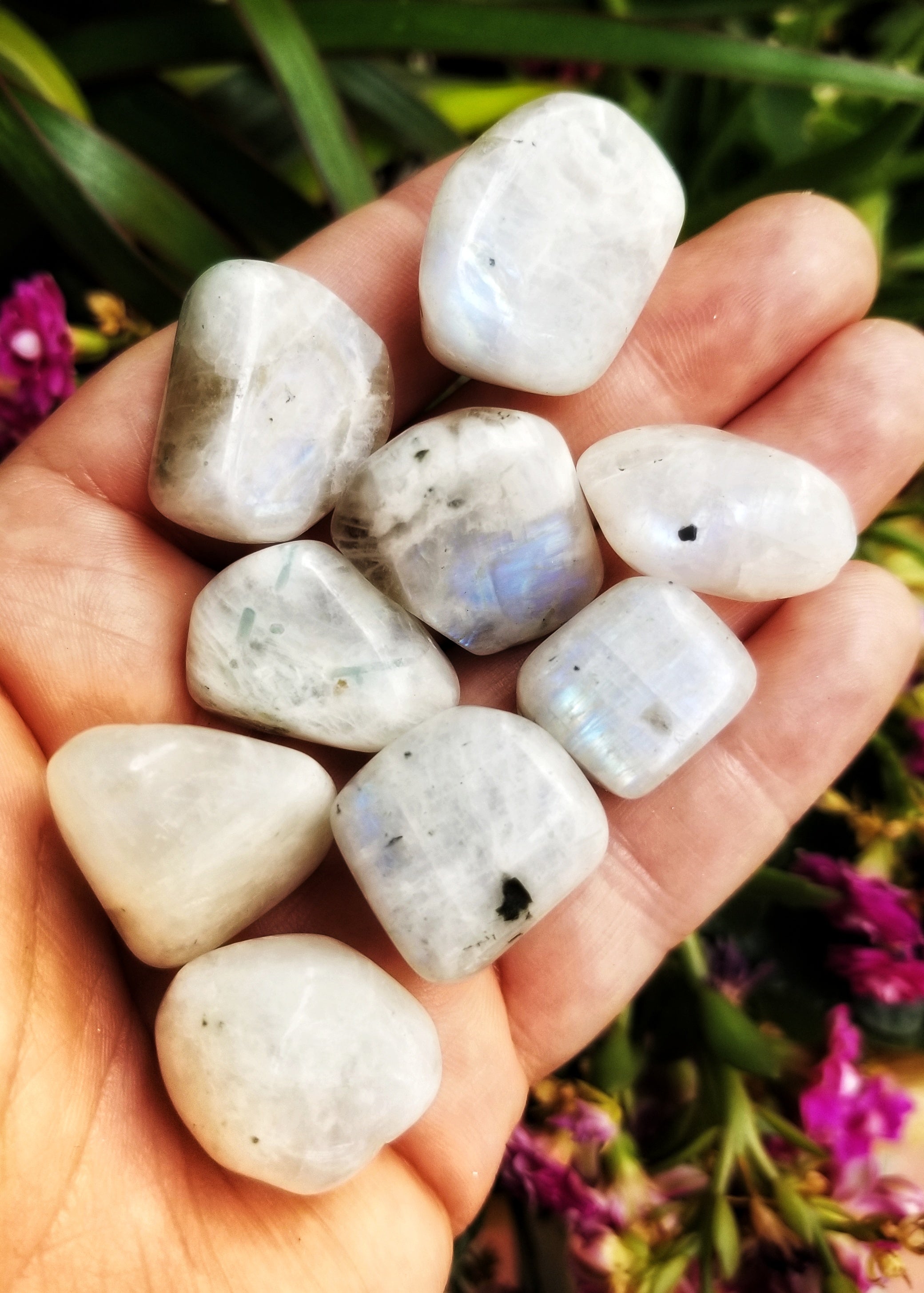 Rainbow Moonstone Tumbled Stones