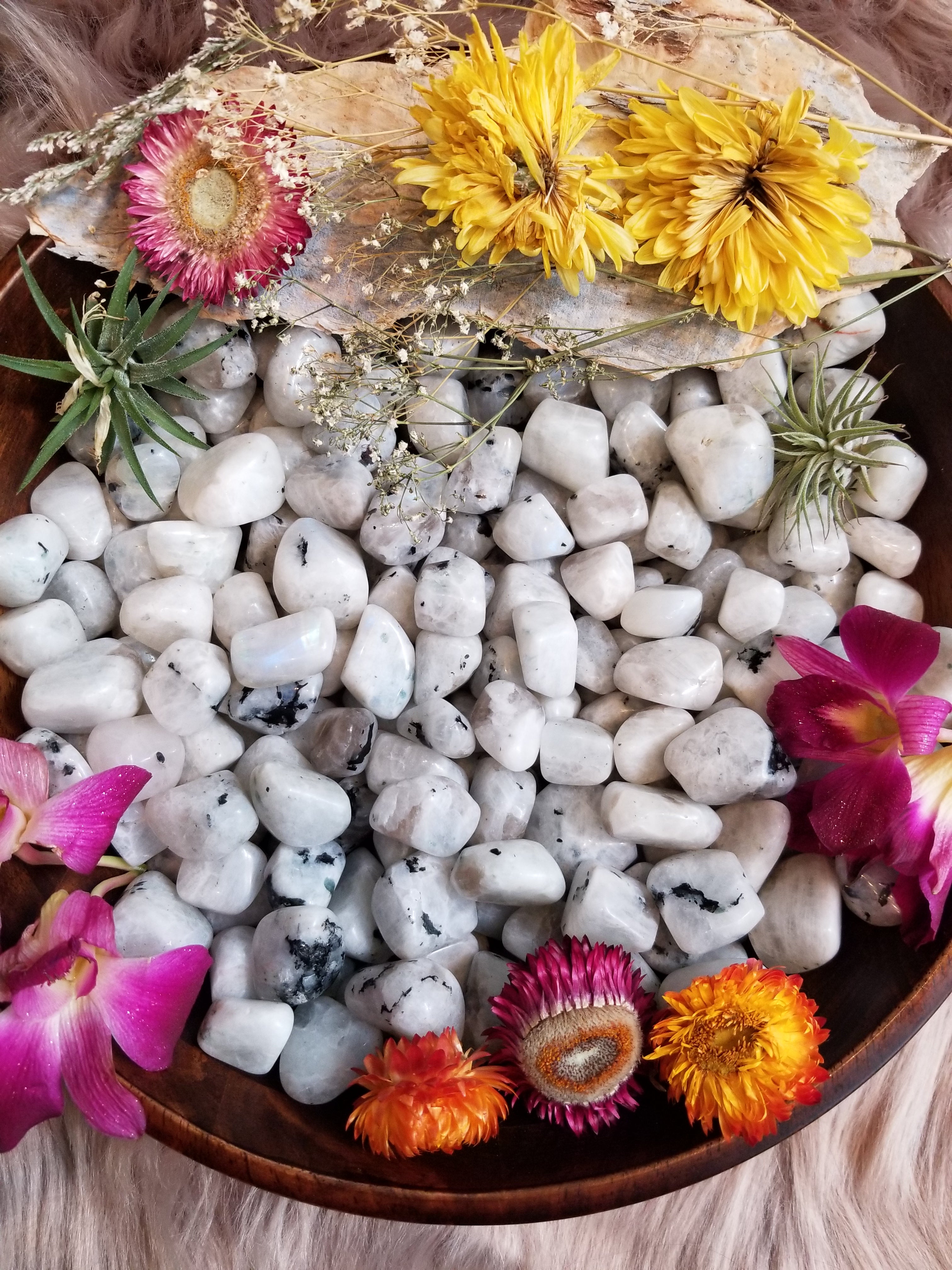 Rainbow Moonstone Tumbled Stones