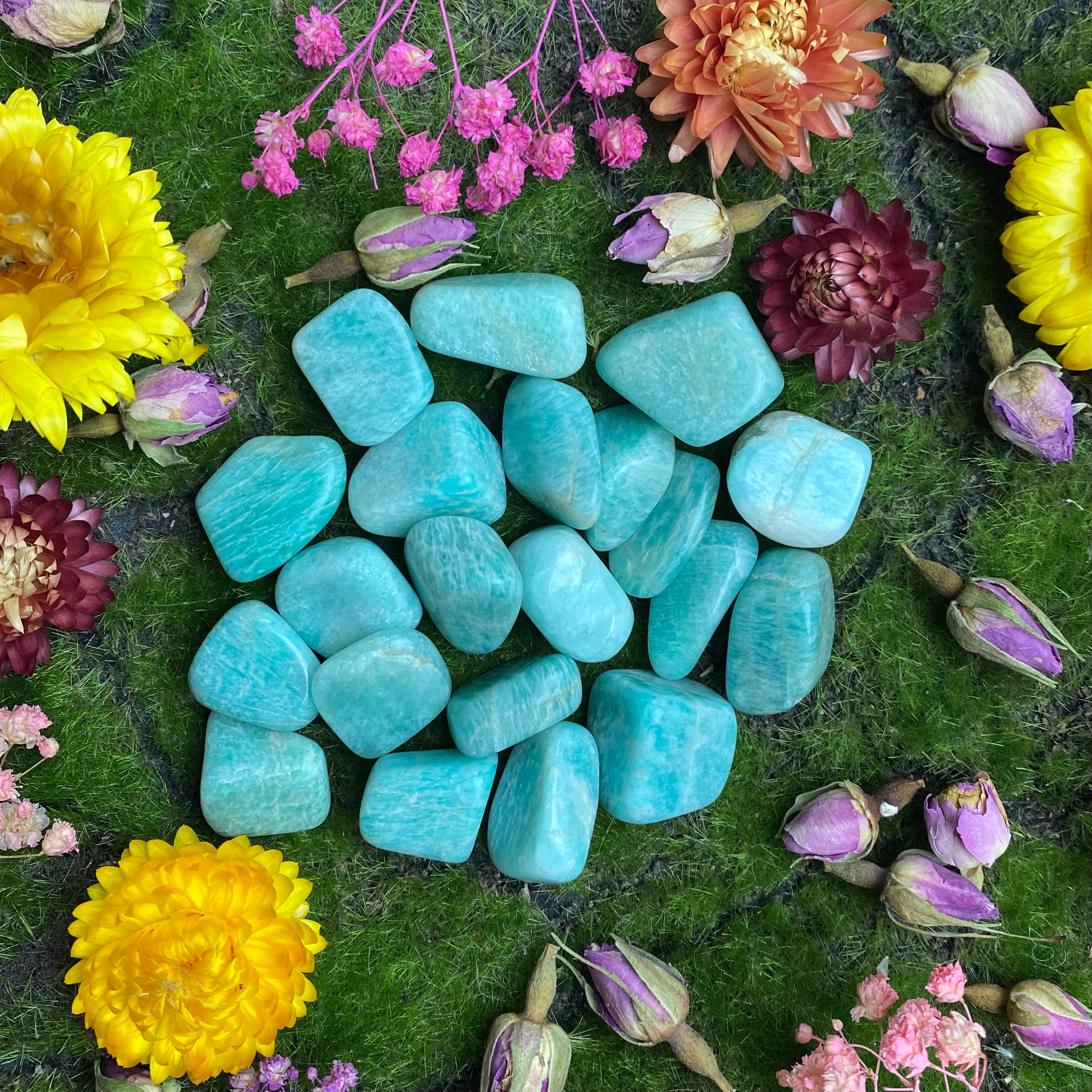 Amazonite Tumbled A Grade Stone