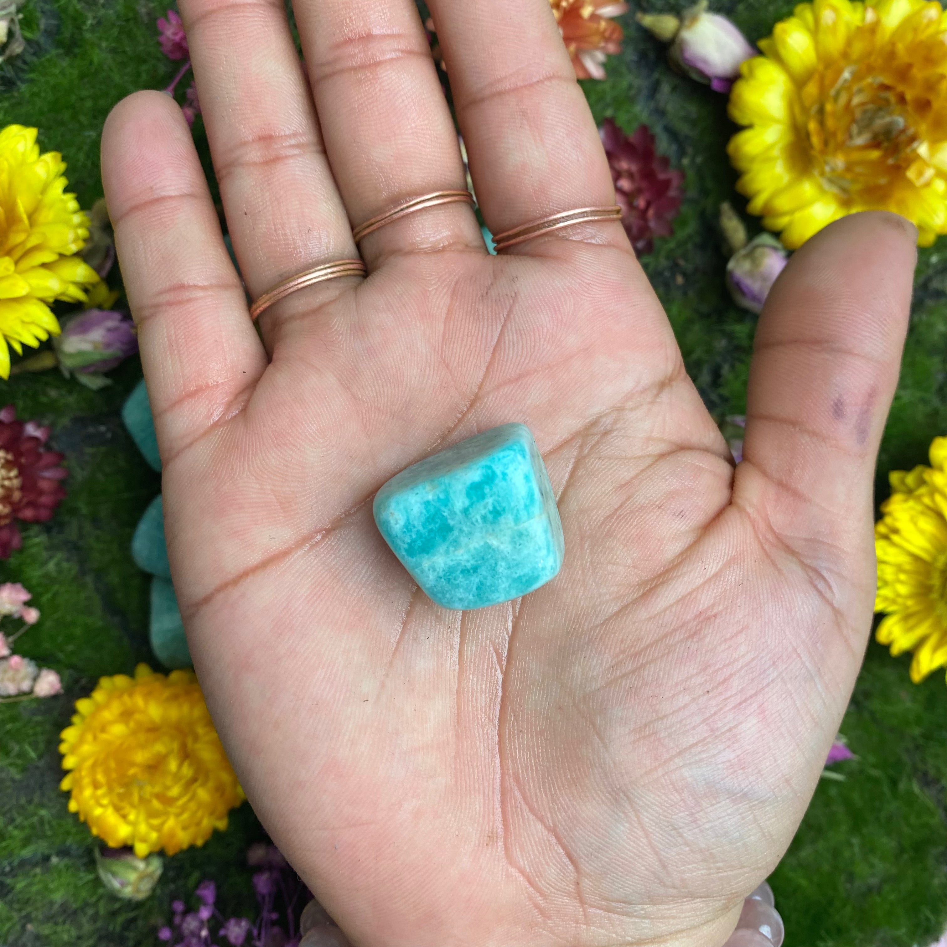 Amazonite Tumbled A Grade Stone