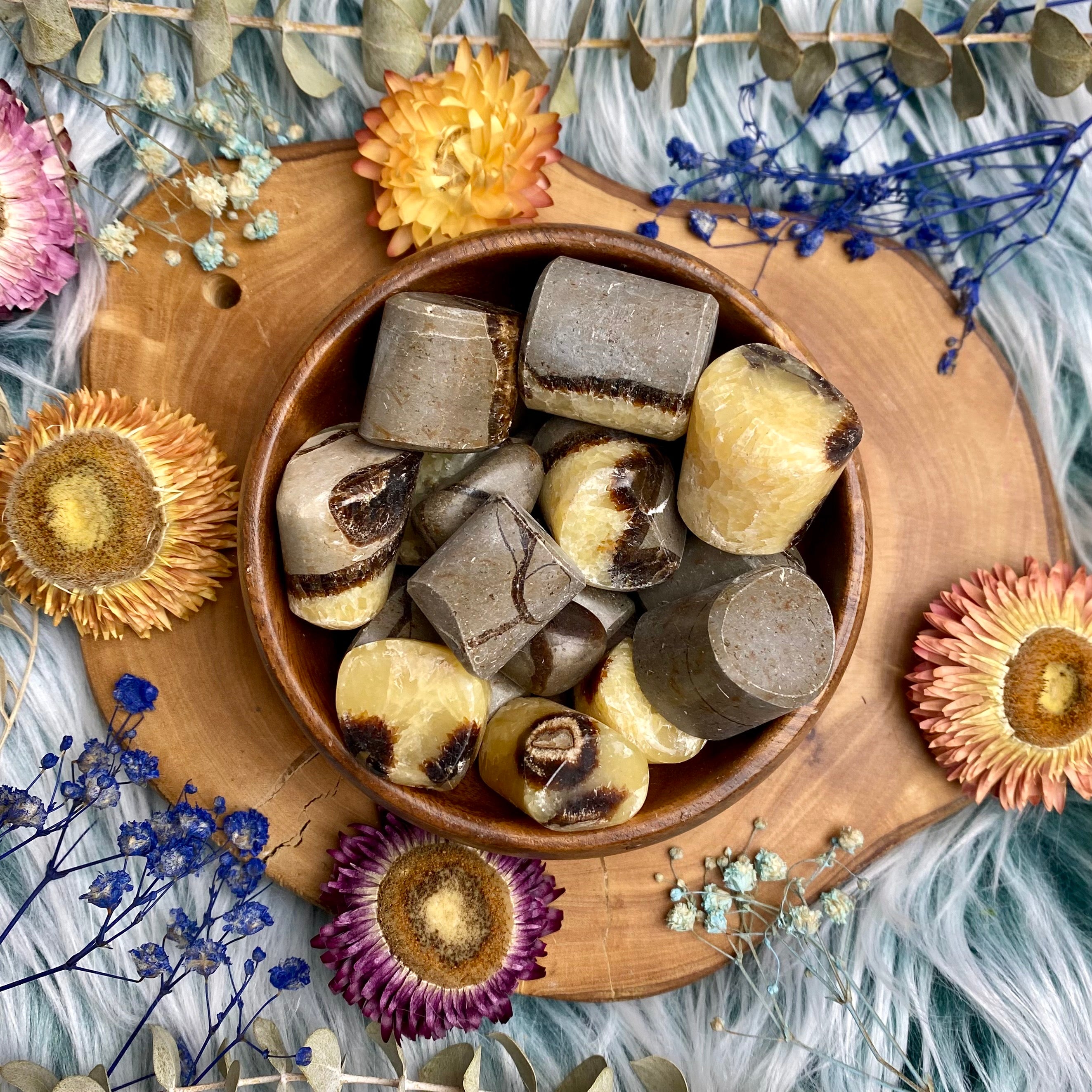 Septarian Tumbled Stone for Ancestral Connection