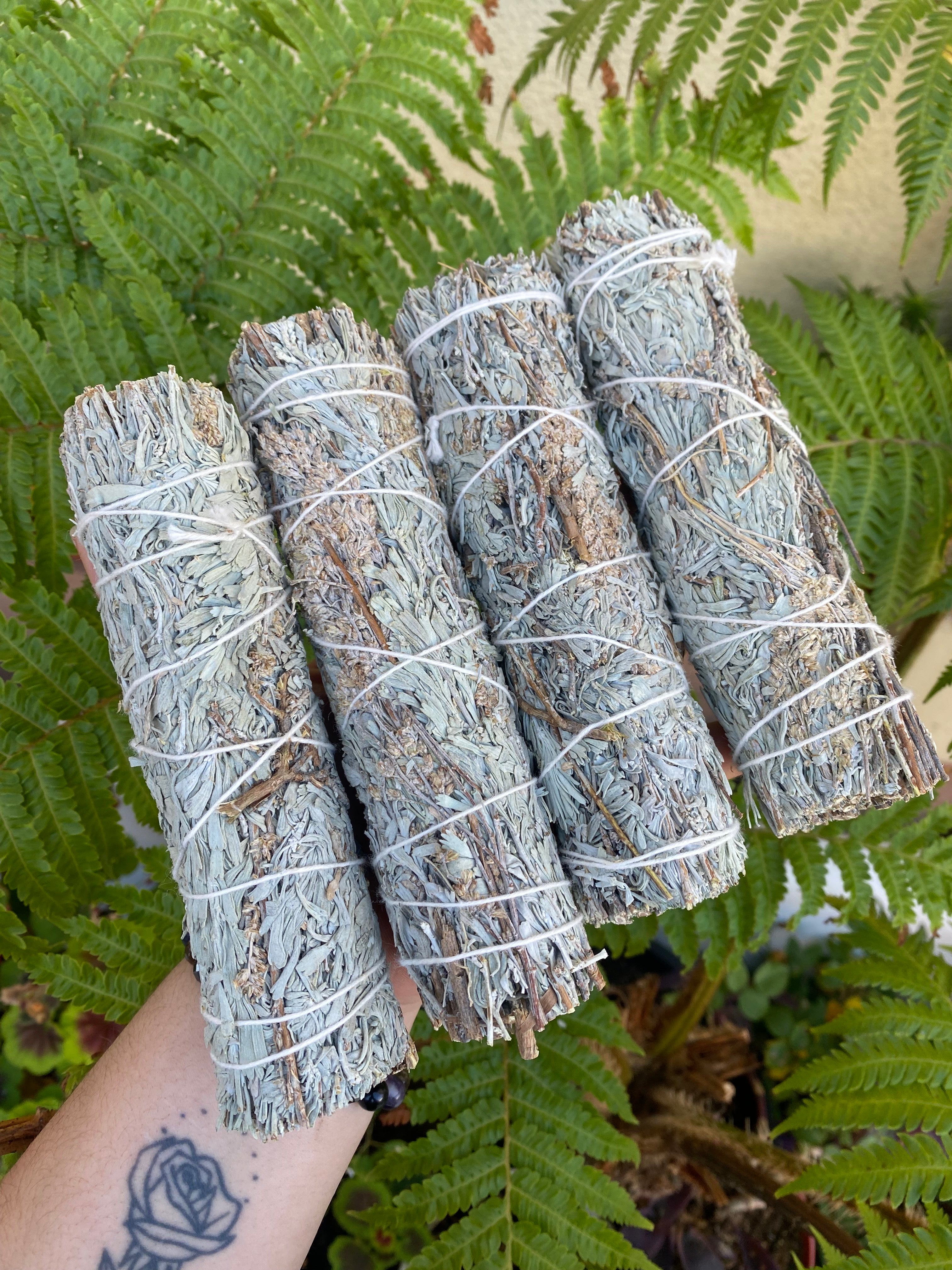 Blue Sage Bundle