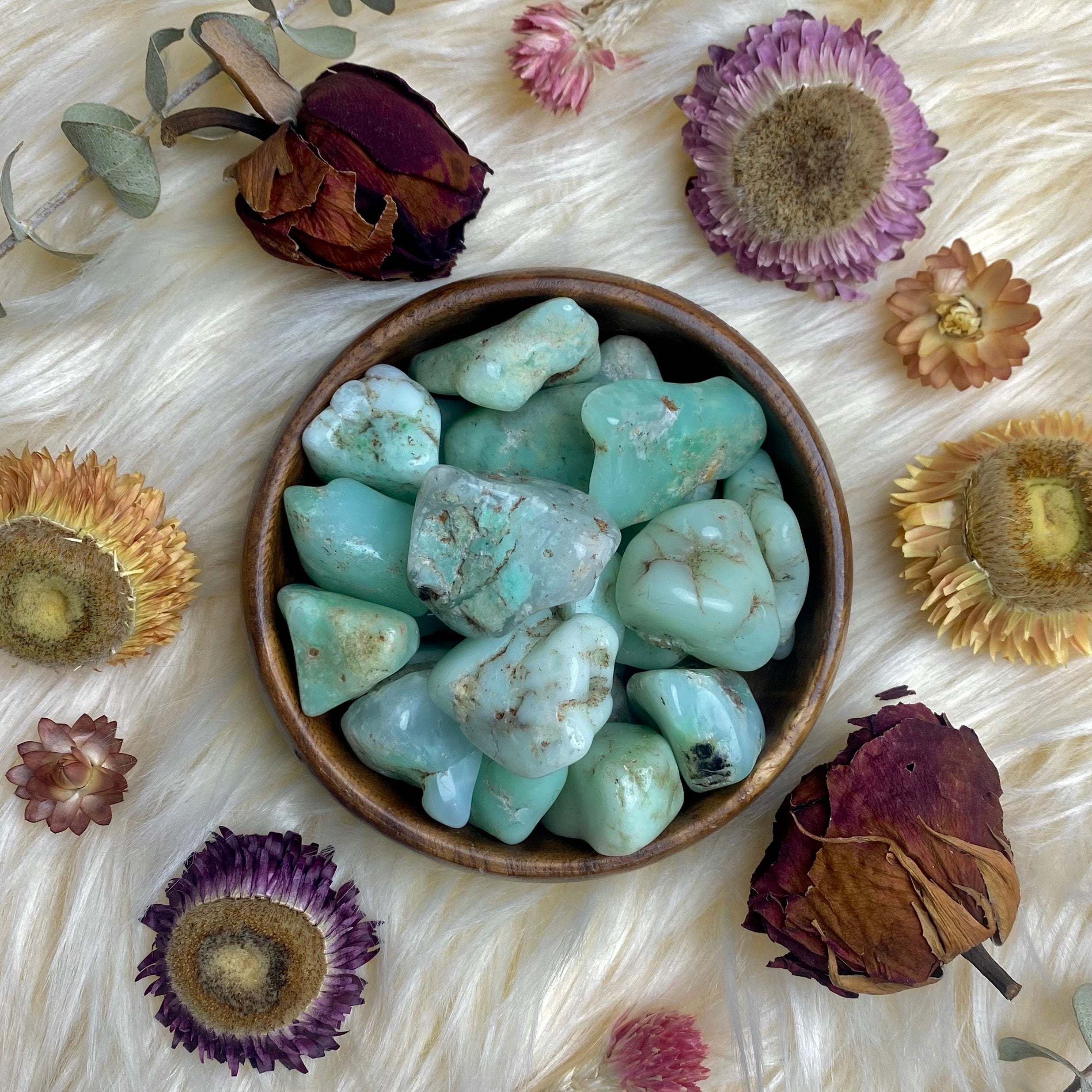 Chrysoprase Tumbled Stone for Love & Forgiveness