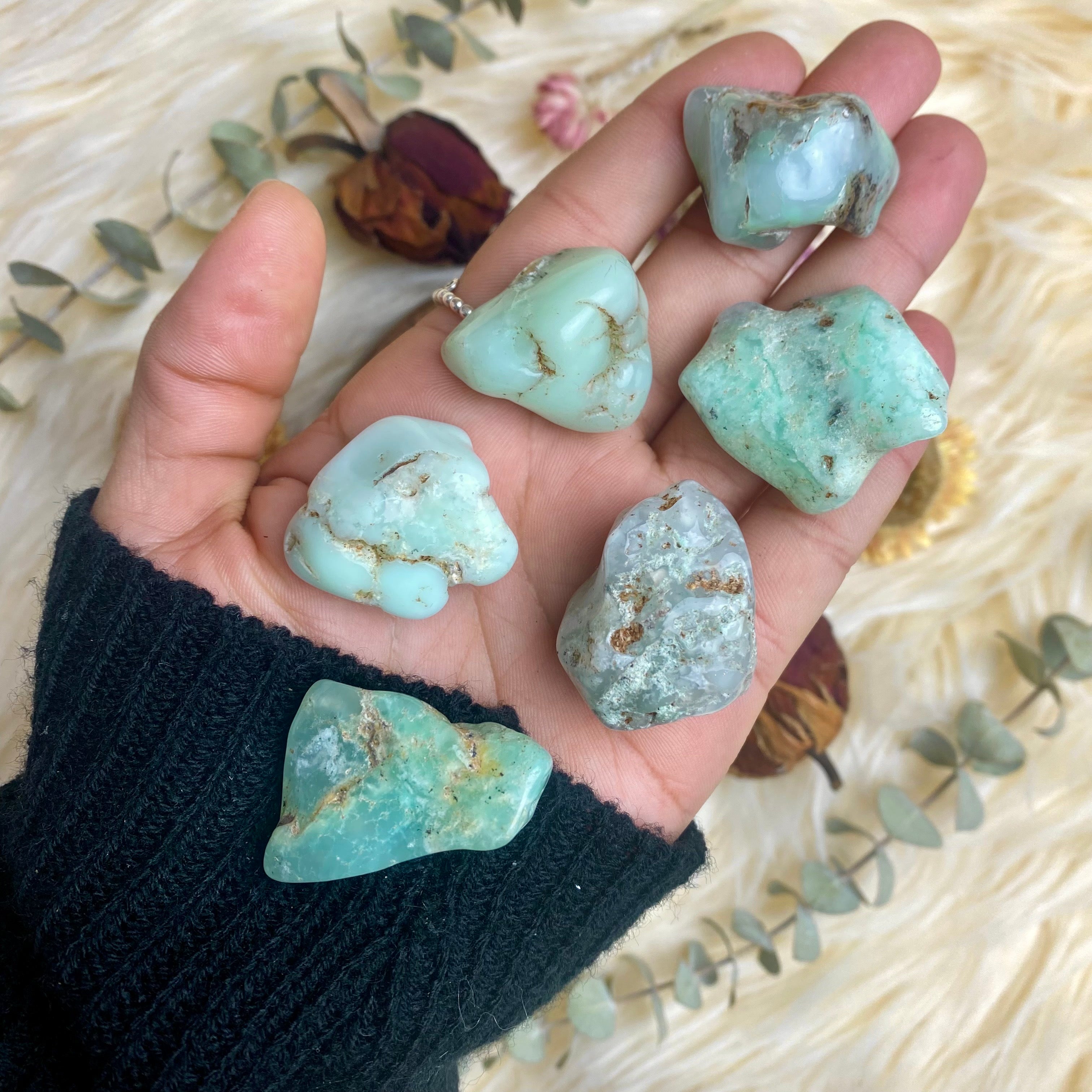 Chrysoprase Tumbled Stone for Love & Forgiveness