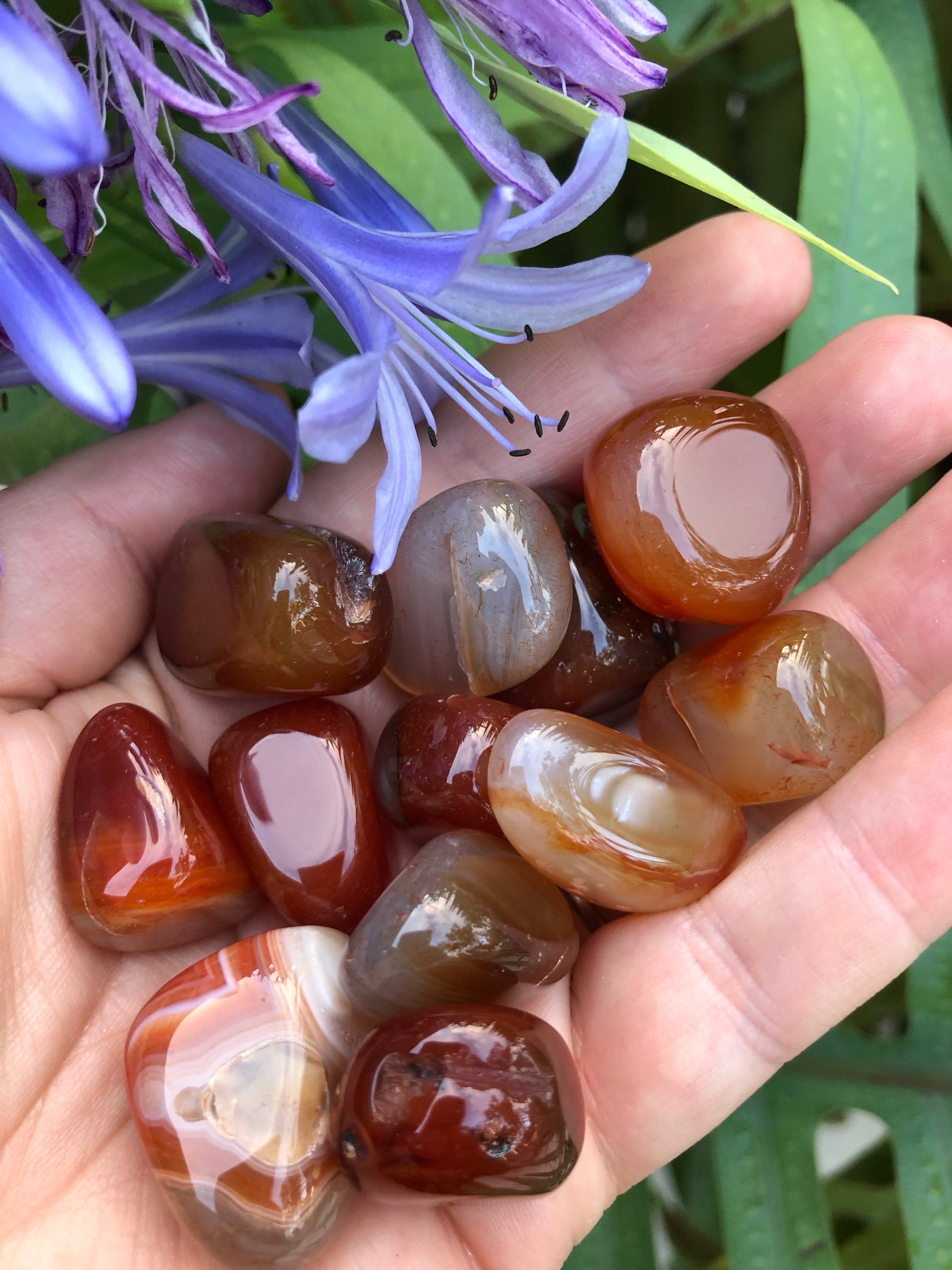 Carnelian Tumbled Stones for Motivation & Creativity