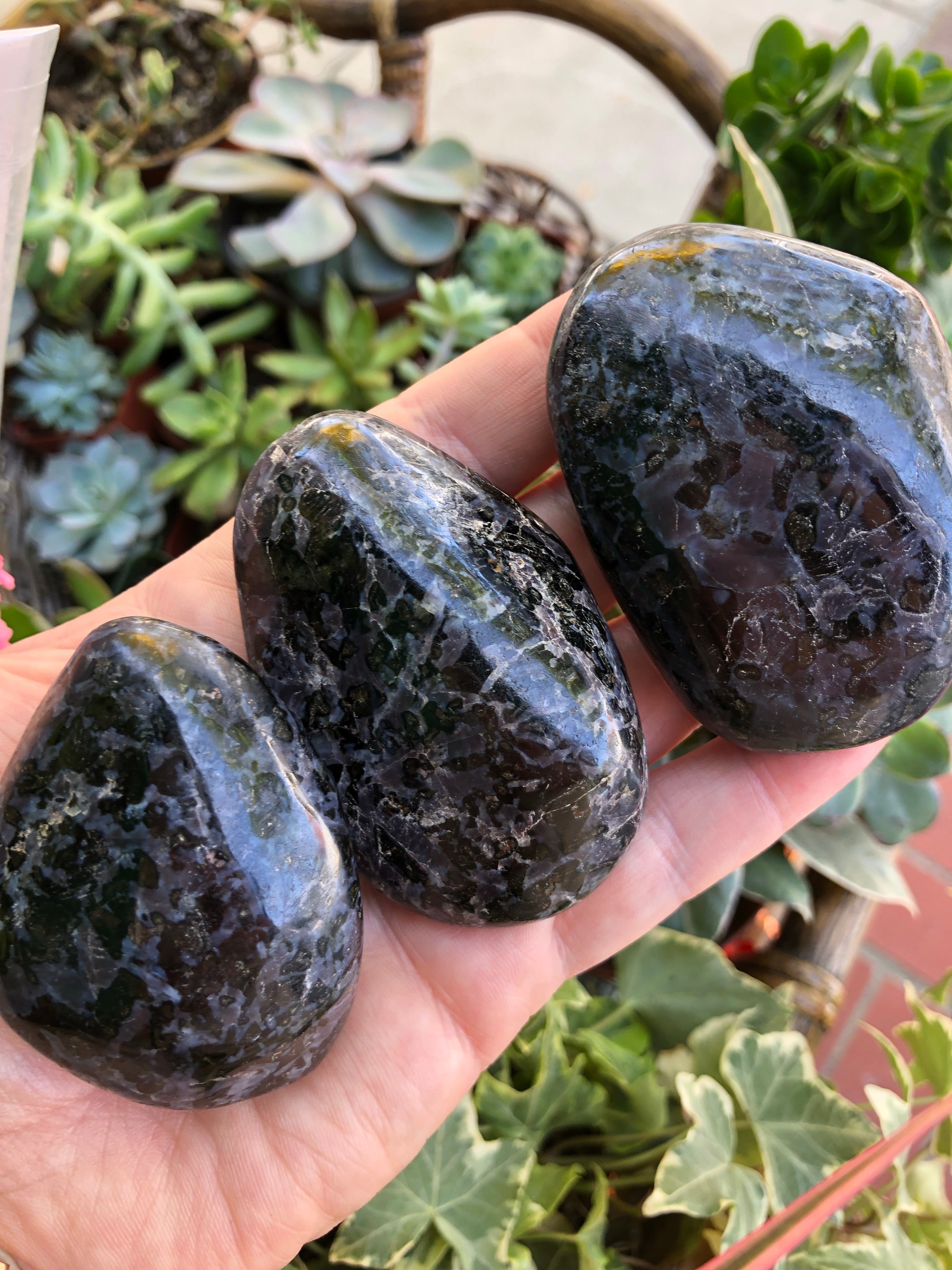 Mystic Merlinite Indigo Gabbro Palm Stone for Past Life Healing