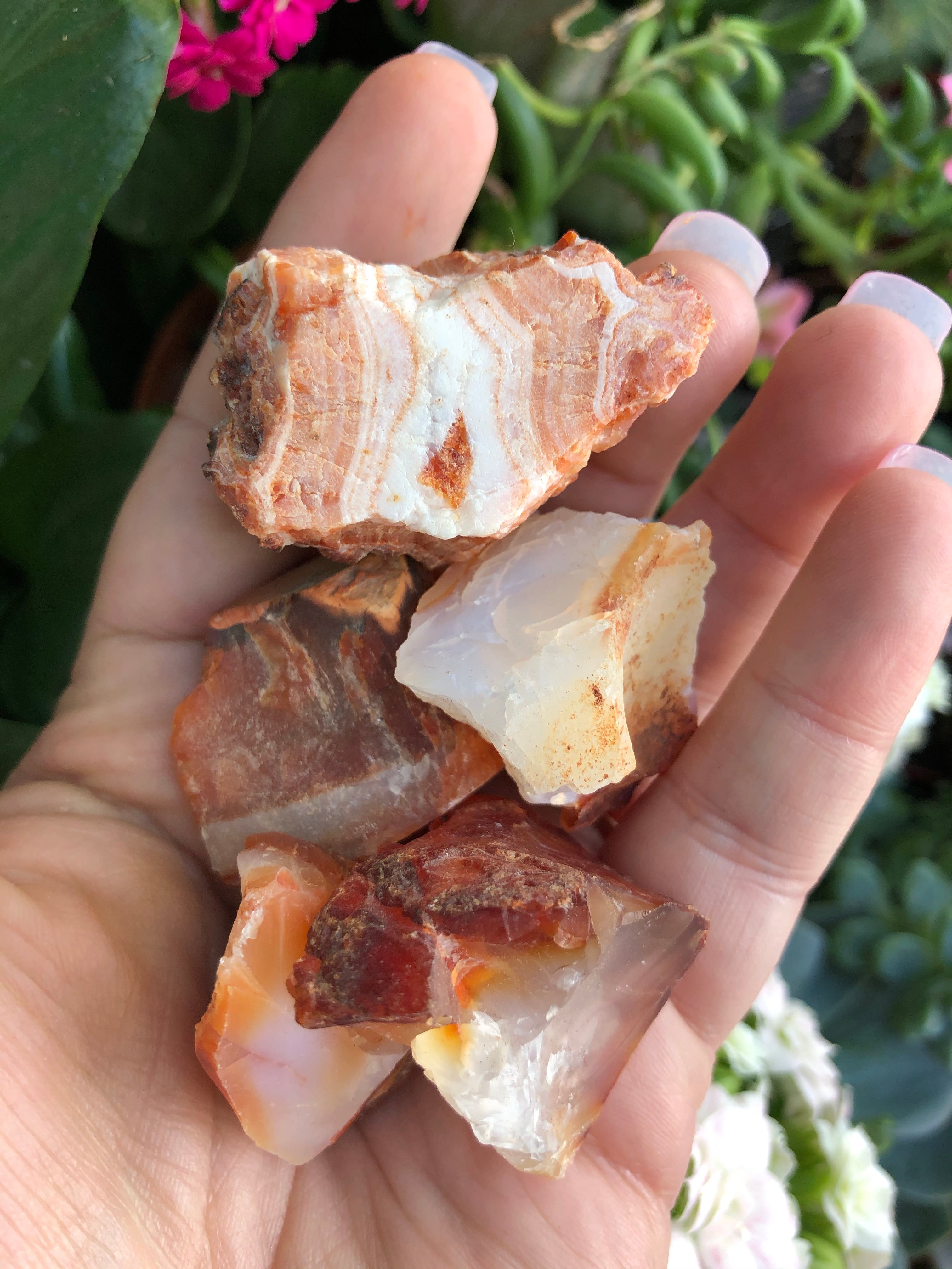 Carnelian Raw Stones for Motivation & Creativity