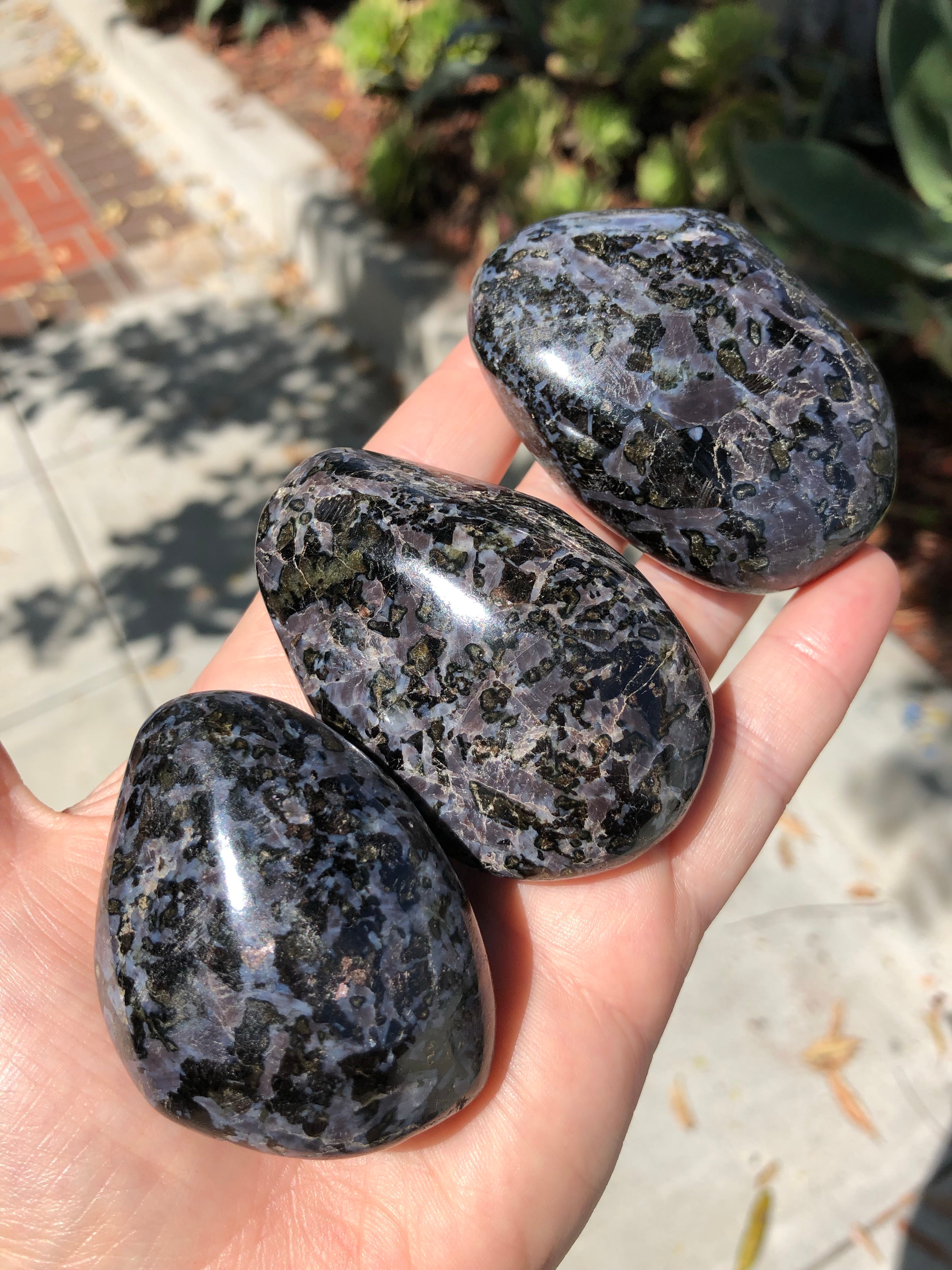 Mystic Merlinite Indigo Gabbro Palm Stone for Past Life Healing