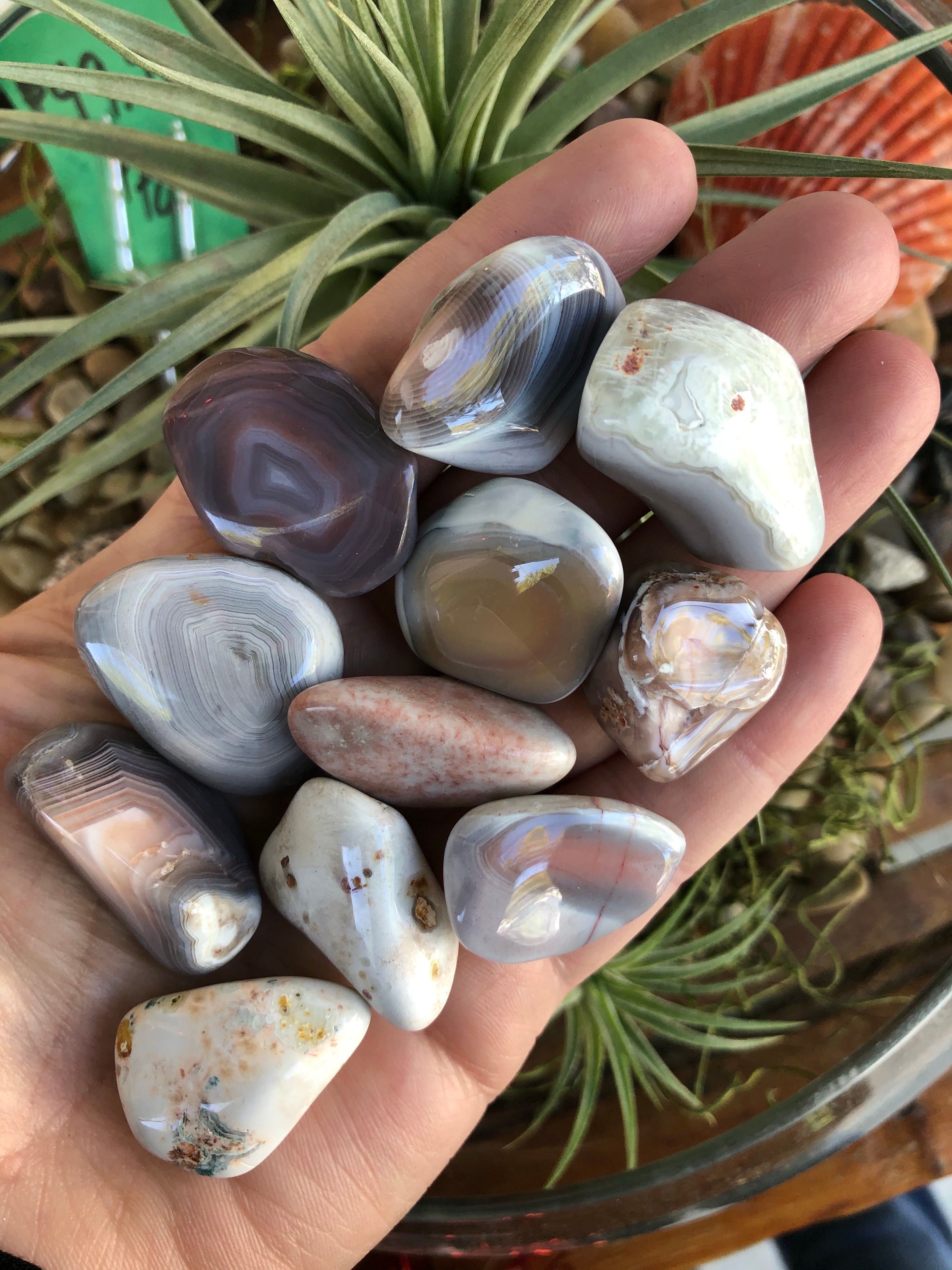 Botswana Agate Tumbled Stone