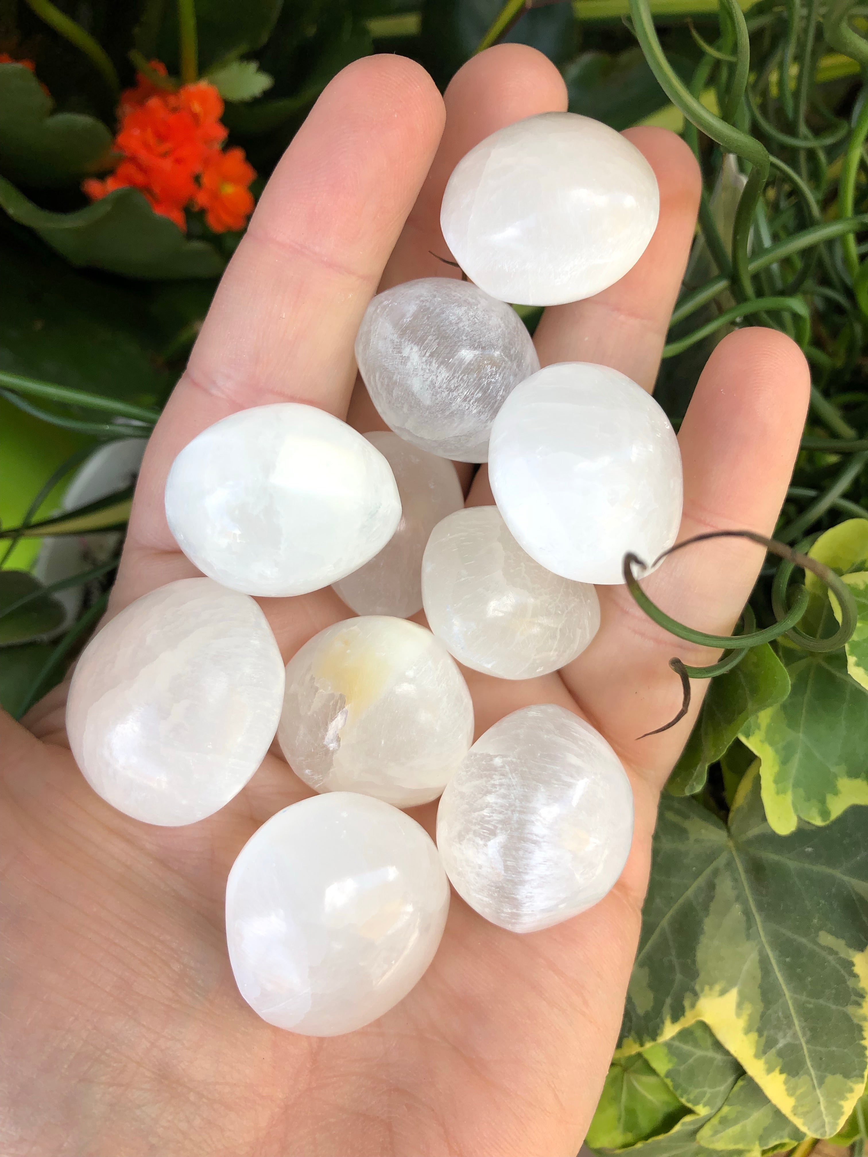 Selenite Satin Spar Tumbles for Purification