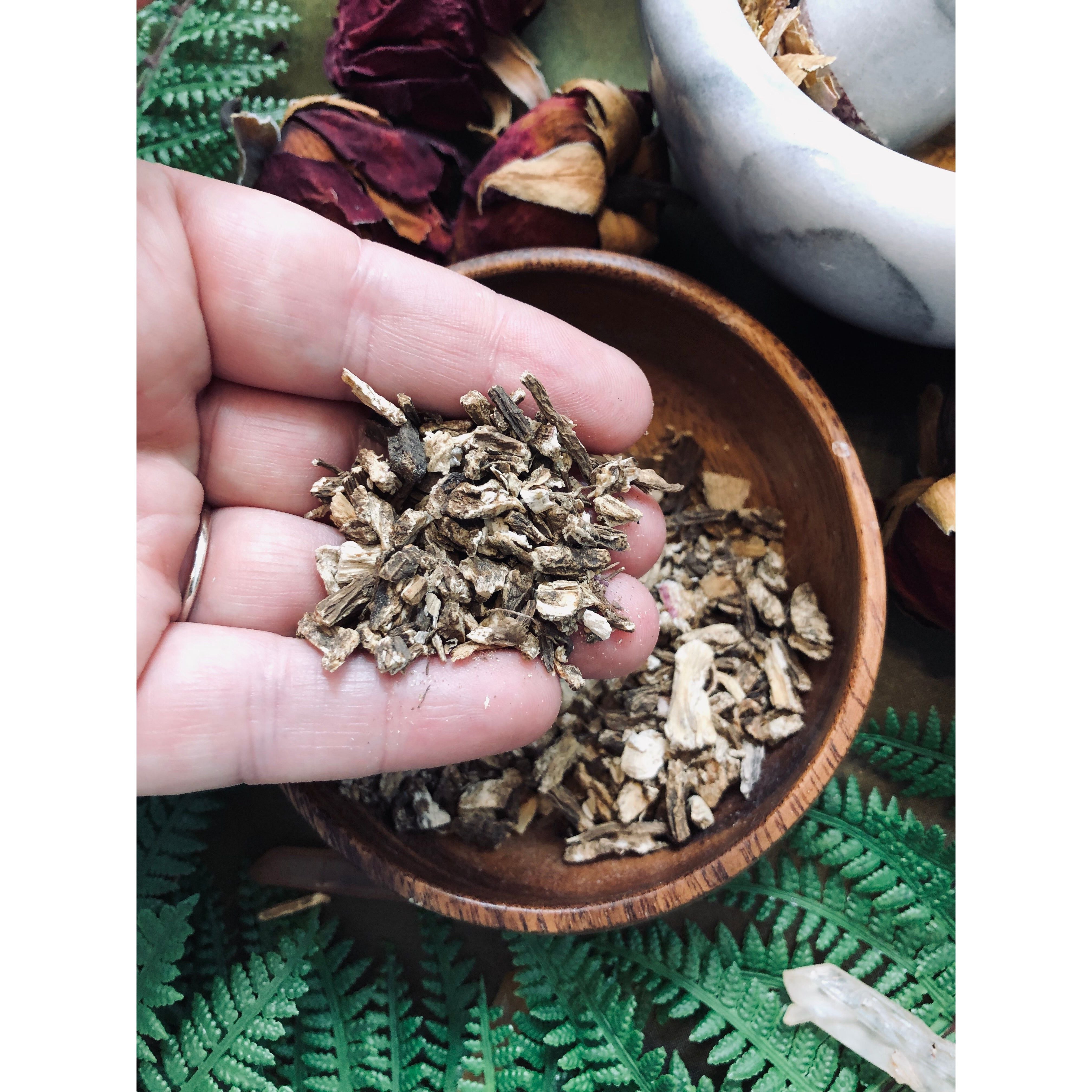 Angelica Root for Protection