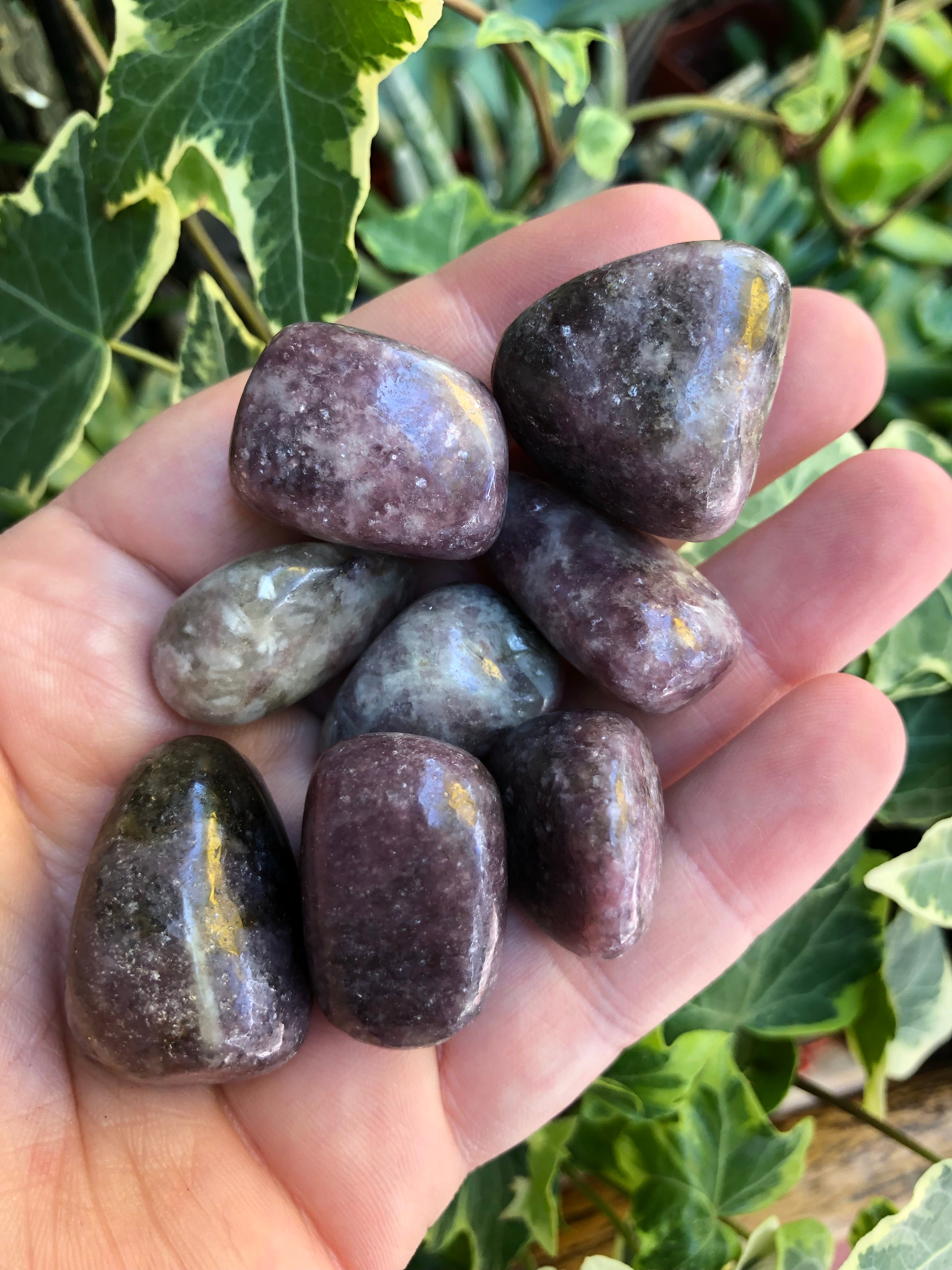 Lepidolite Tumbled Stone