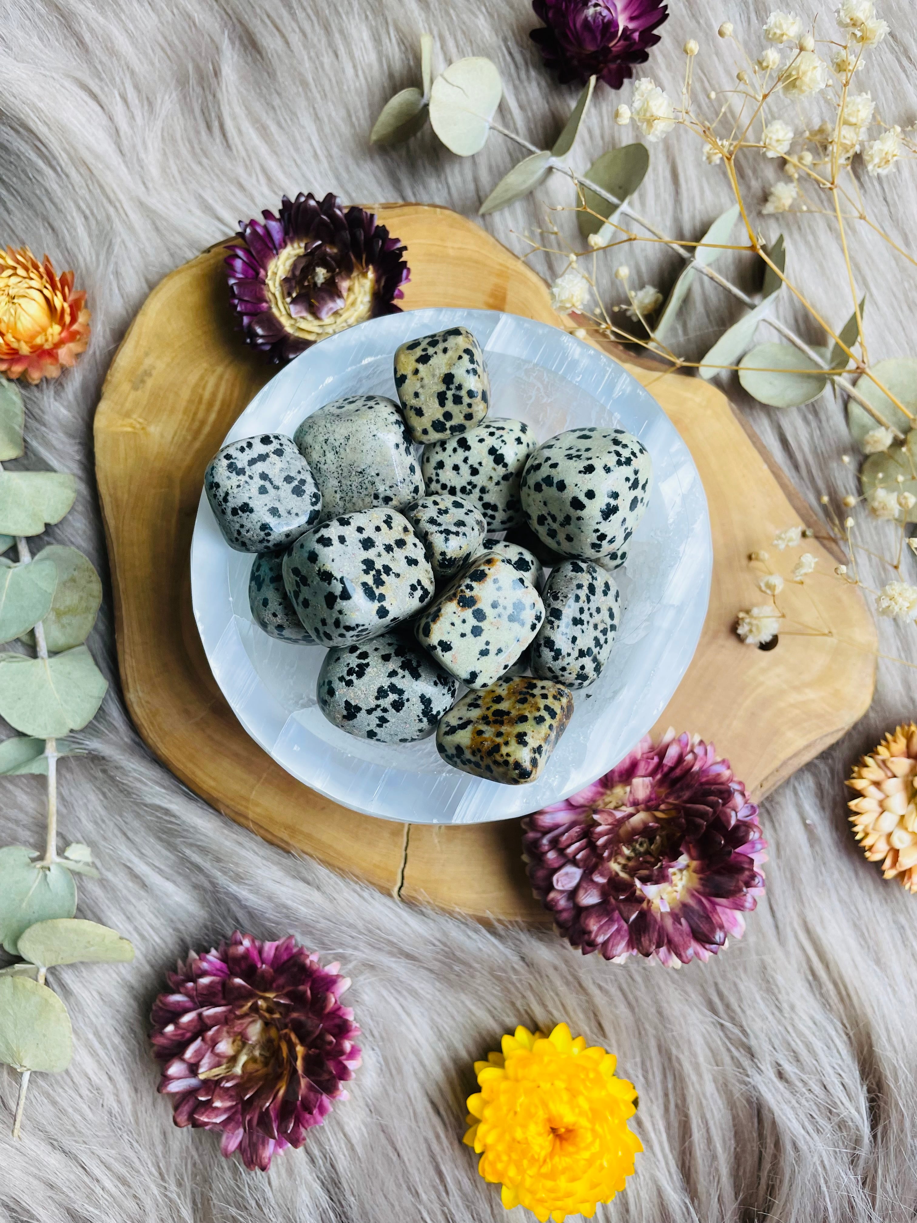 Dalmatian Jasper Tumbled Stones