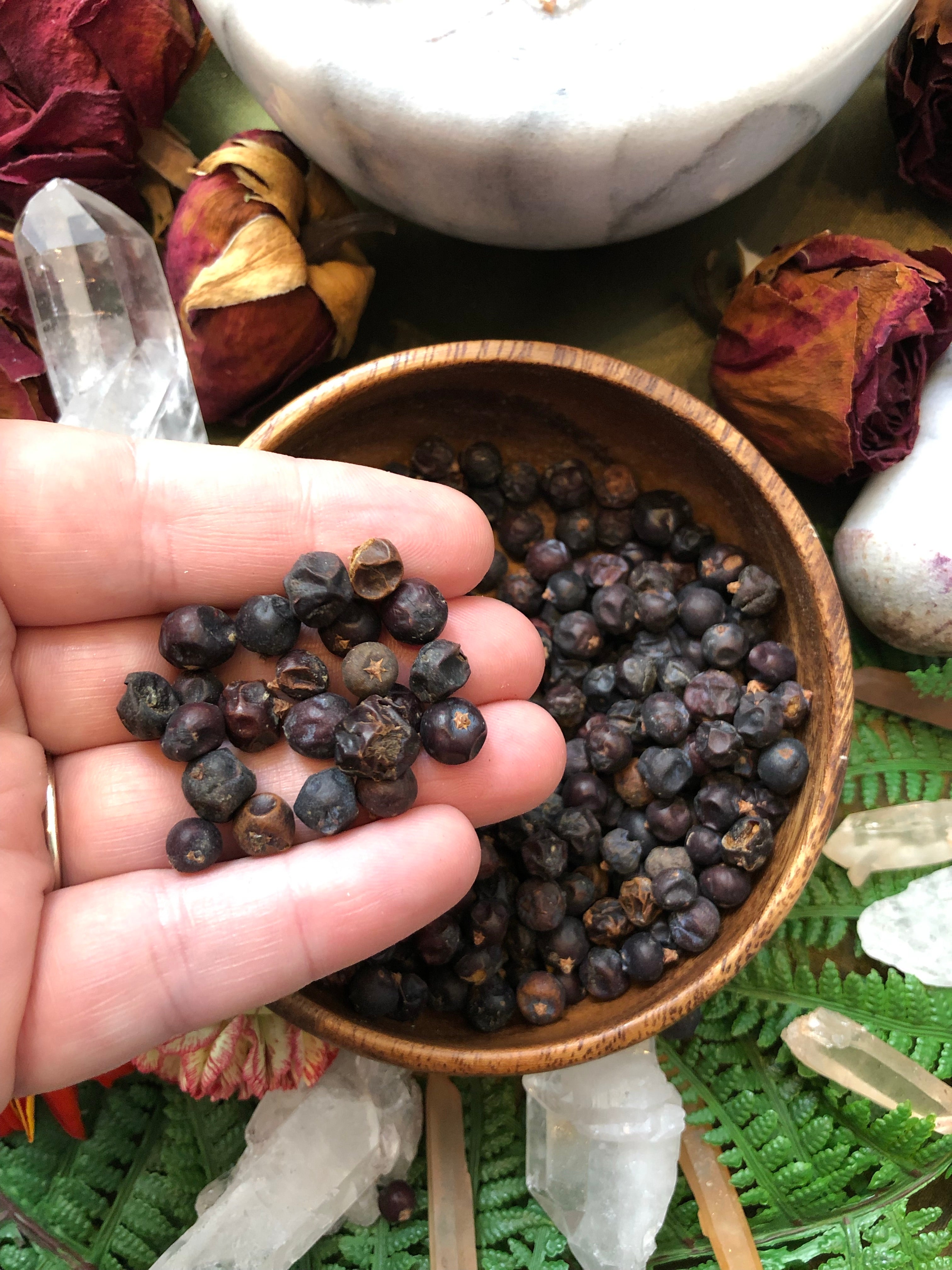 Juniper Berries for Protection