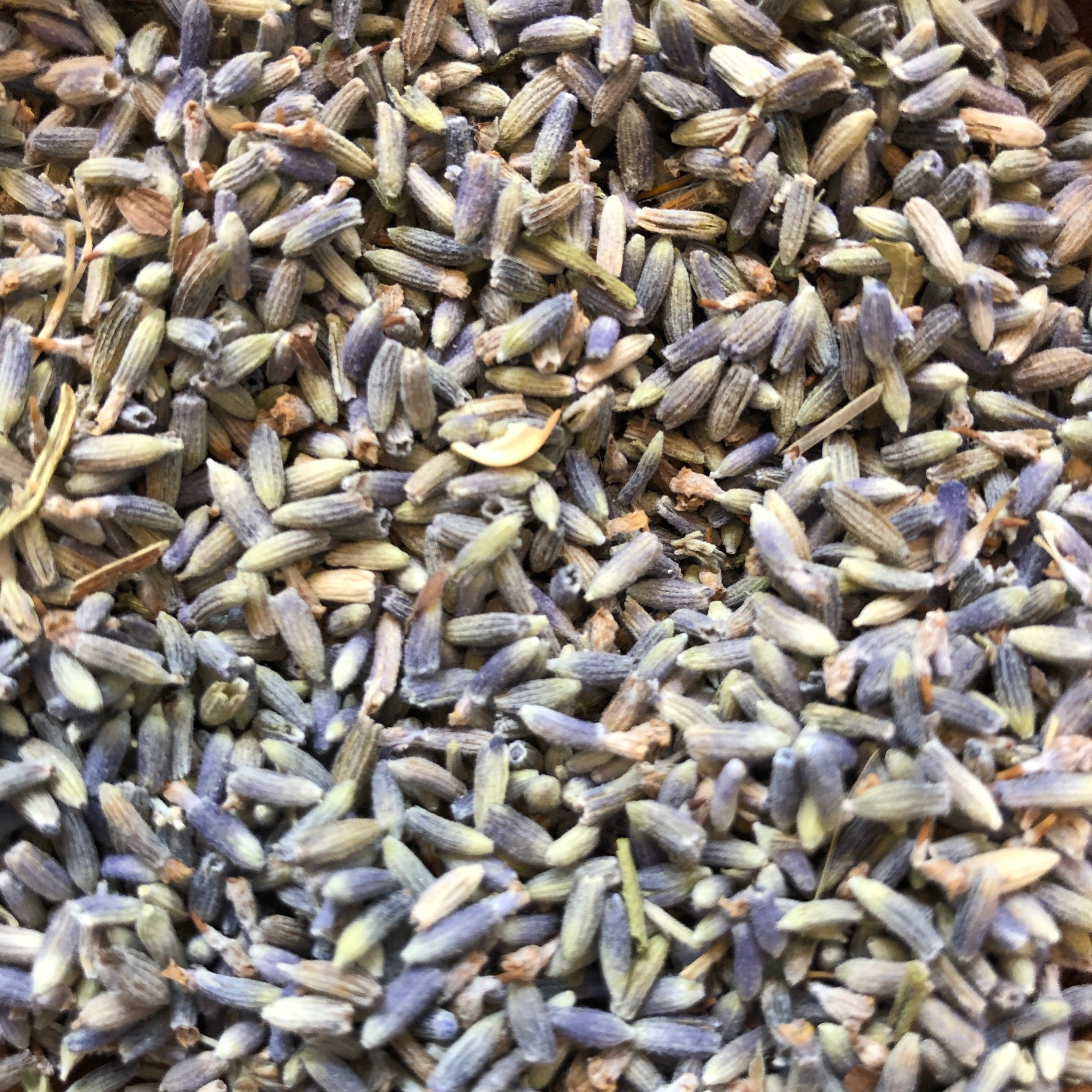 Lavender for Calming Relaxation