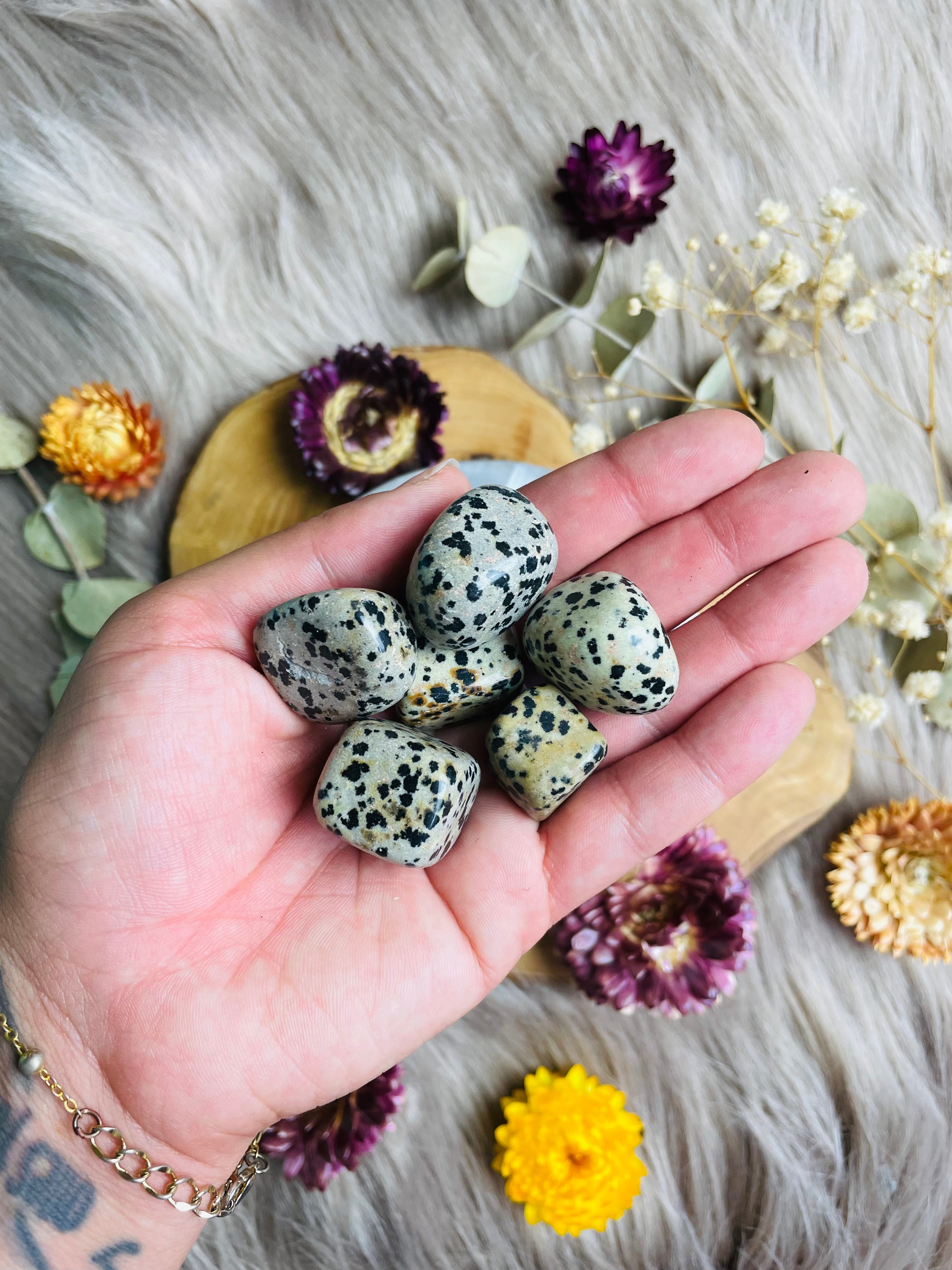 Dalmatian Jasper Tumbled Stones