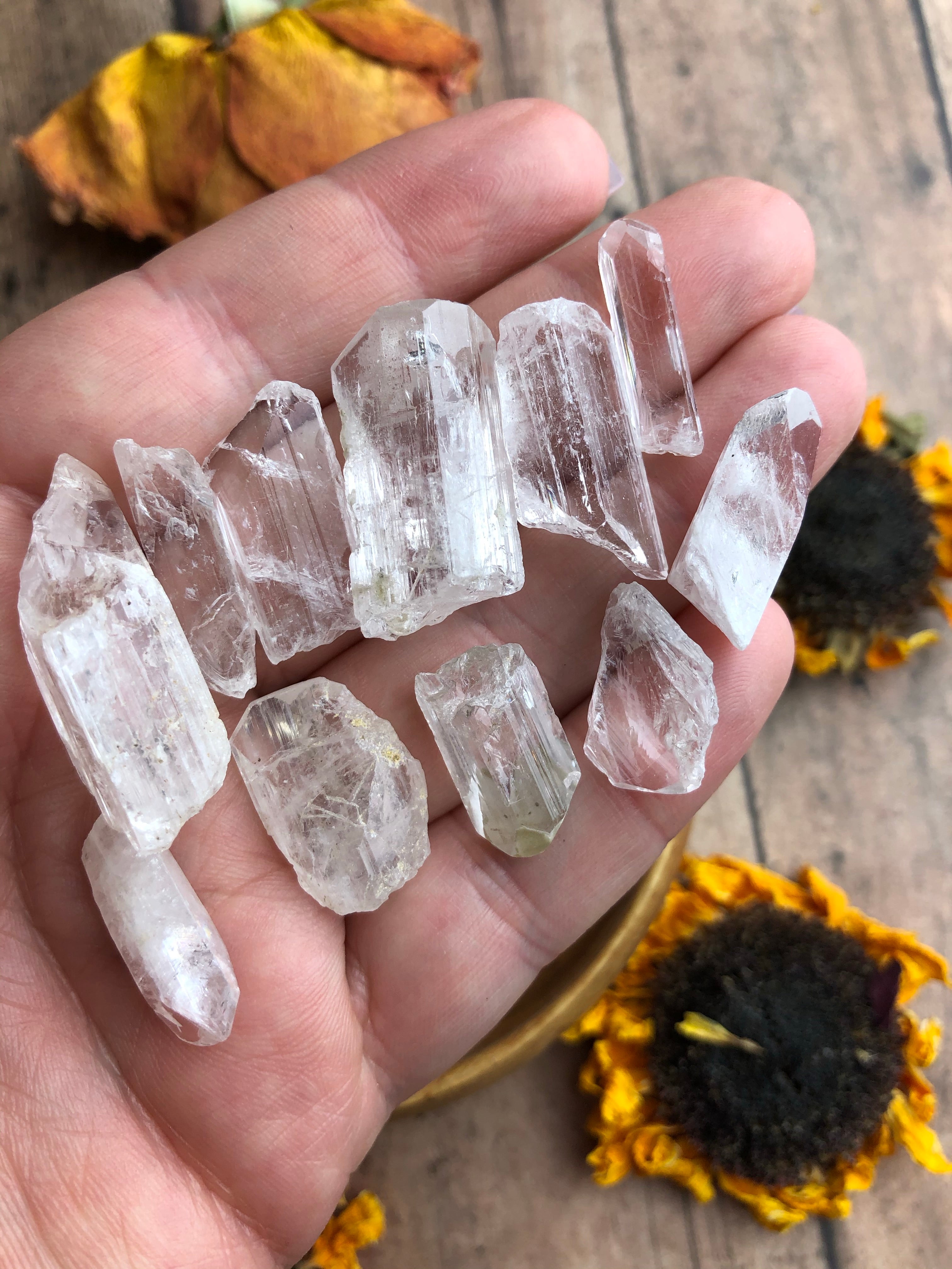 Danburite Rough Pieces for Spiritual Evolution