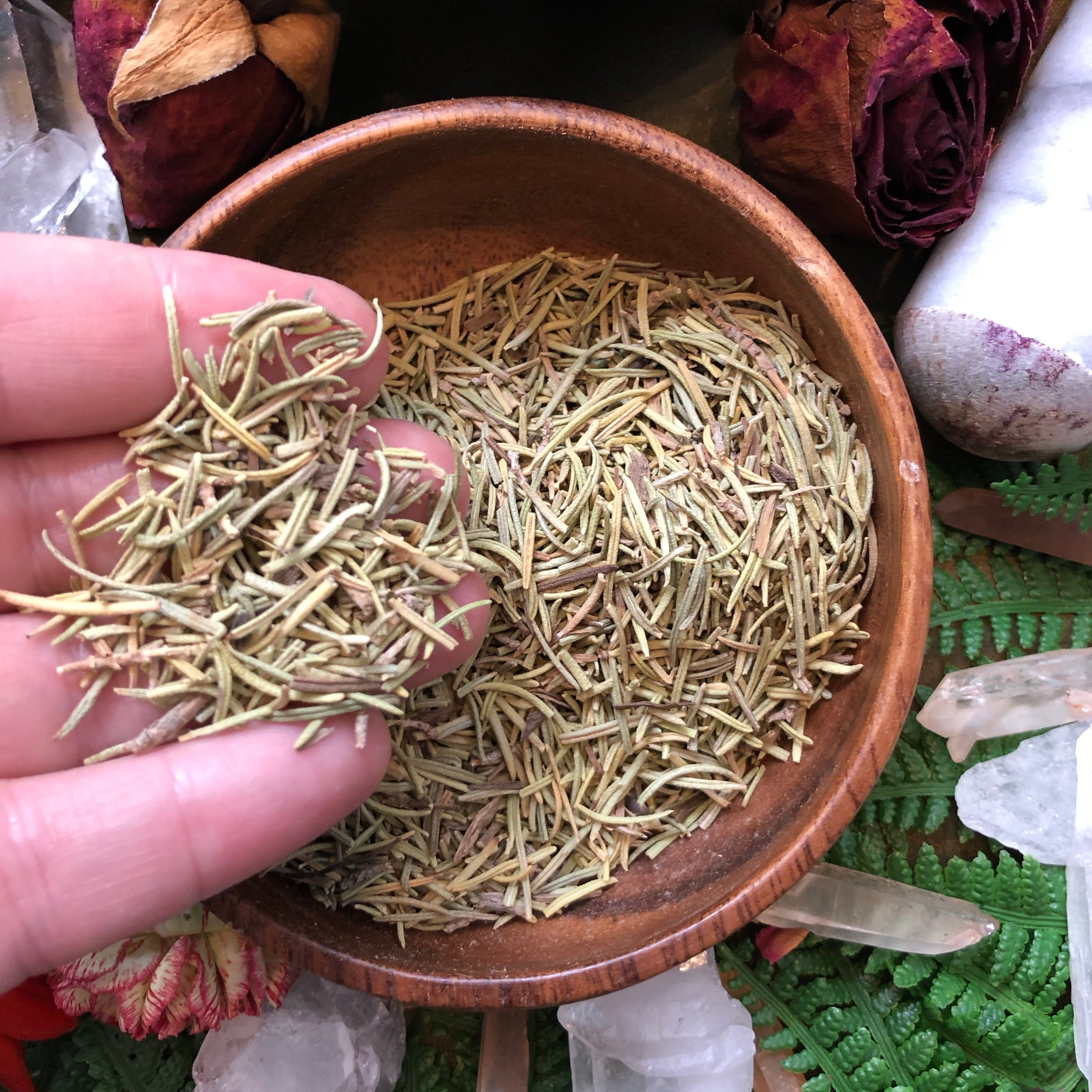 Rosemary for Divination & Protection