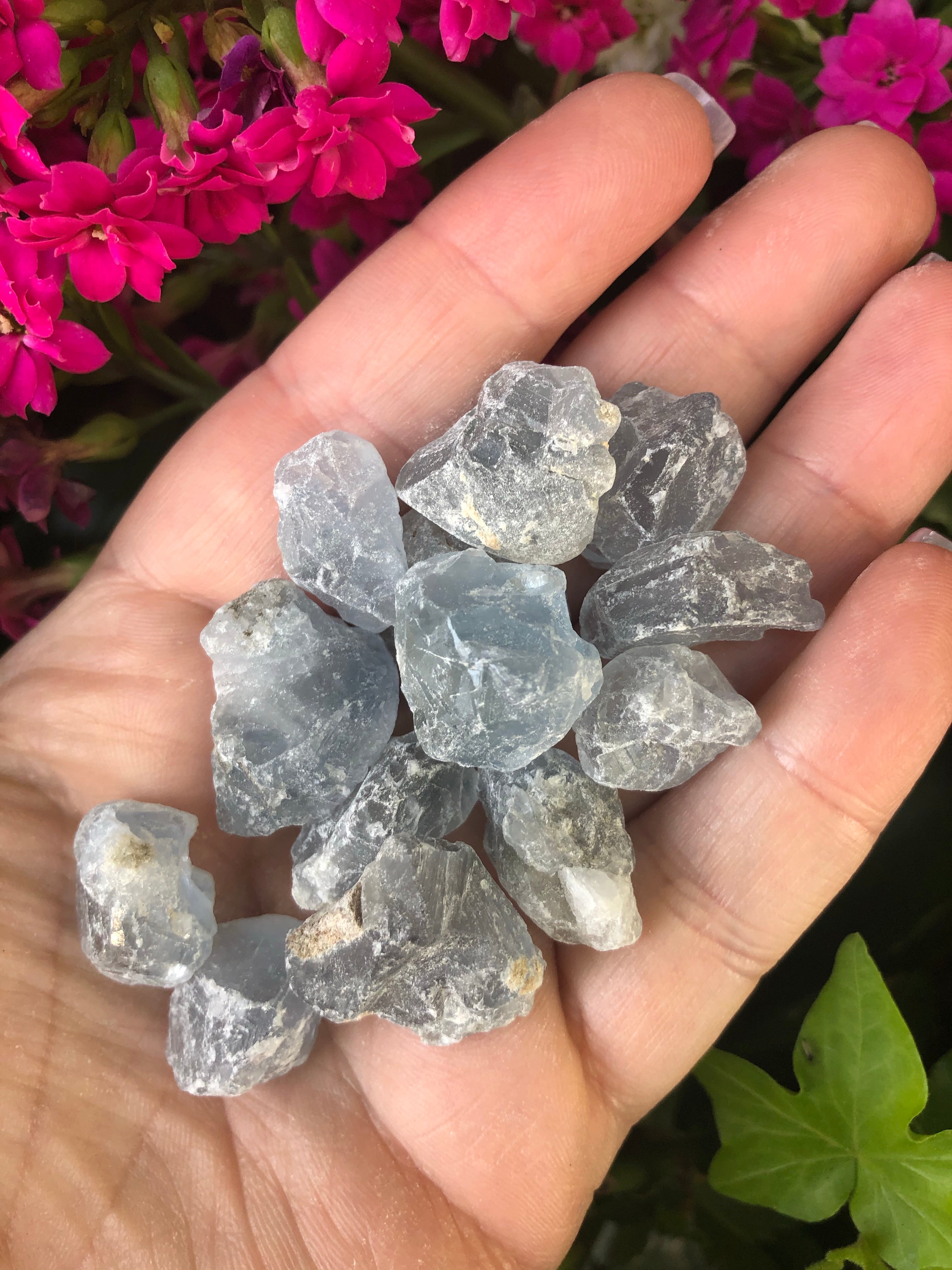 Celestine aka Celestite Raw Pieces