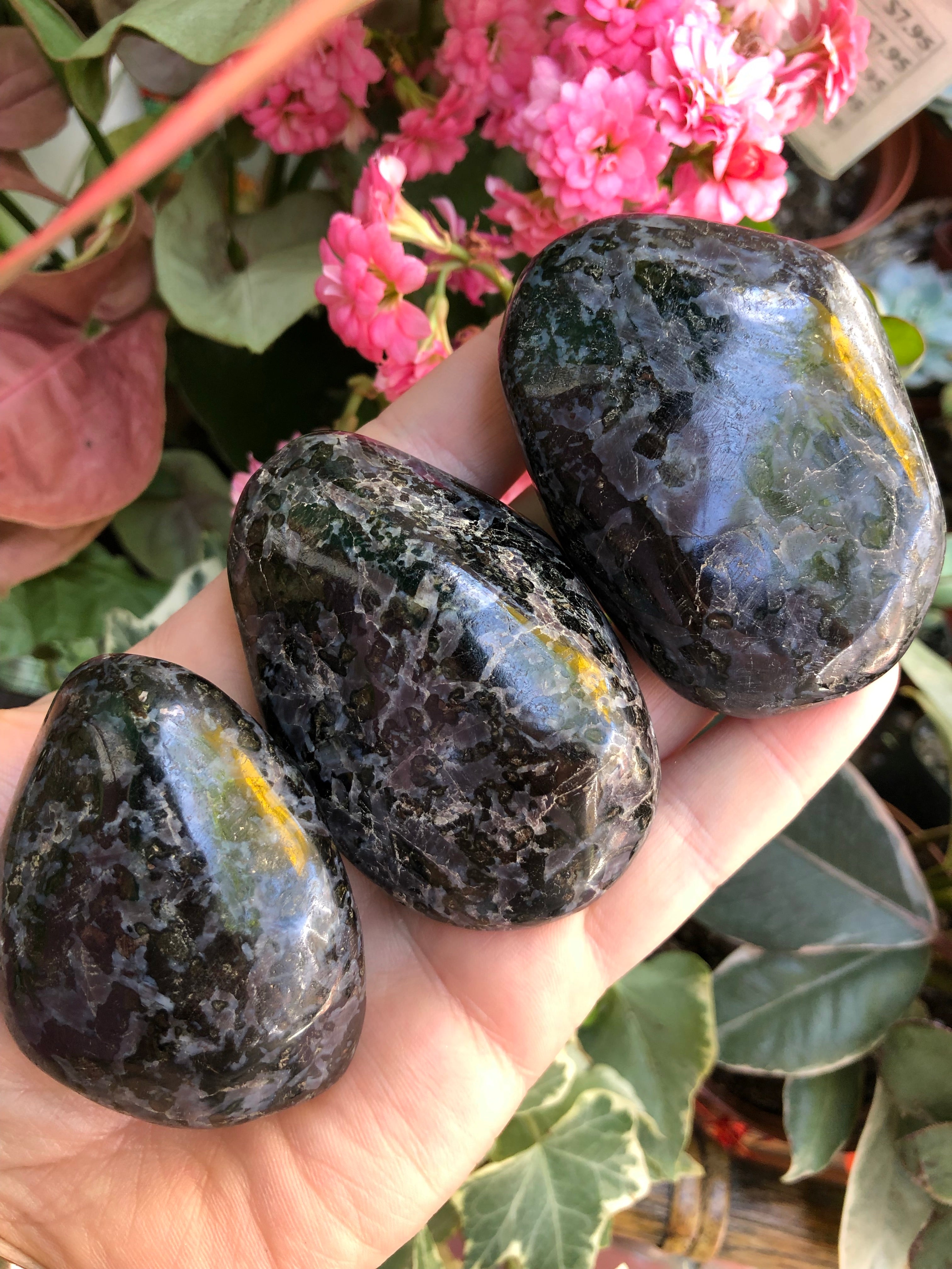 Mystic Merlinite Indigo Gabbro Palm Stone for Past Life Healing