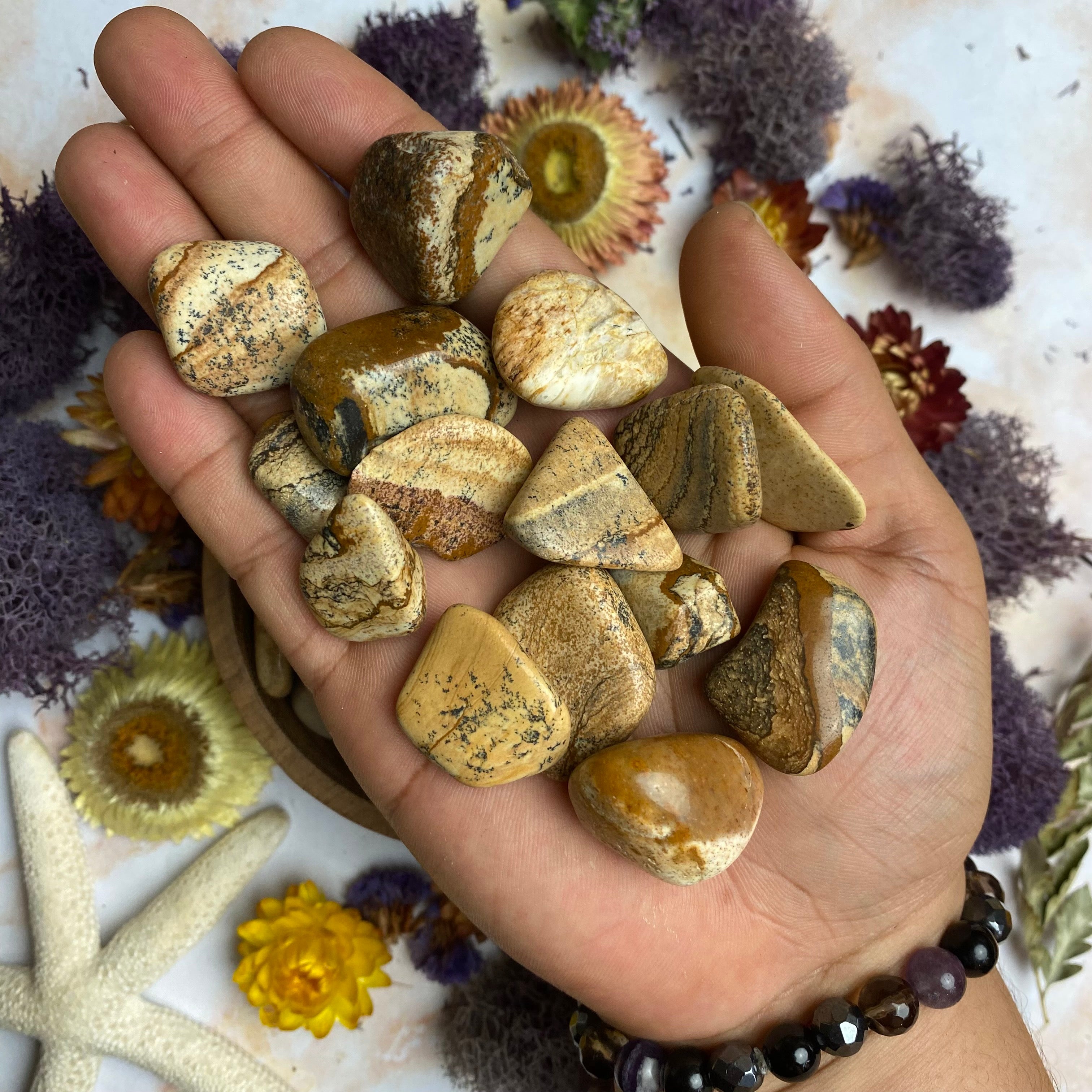 Picture Jasper Tumbled Stones