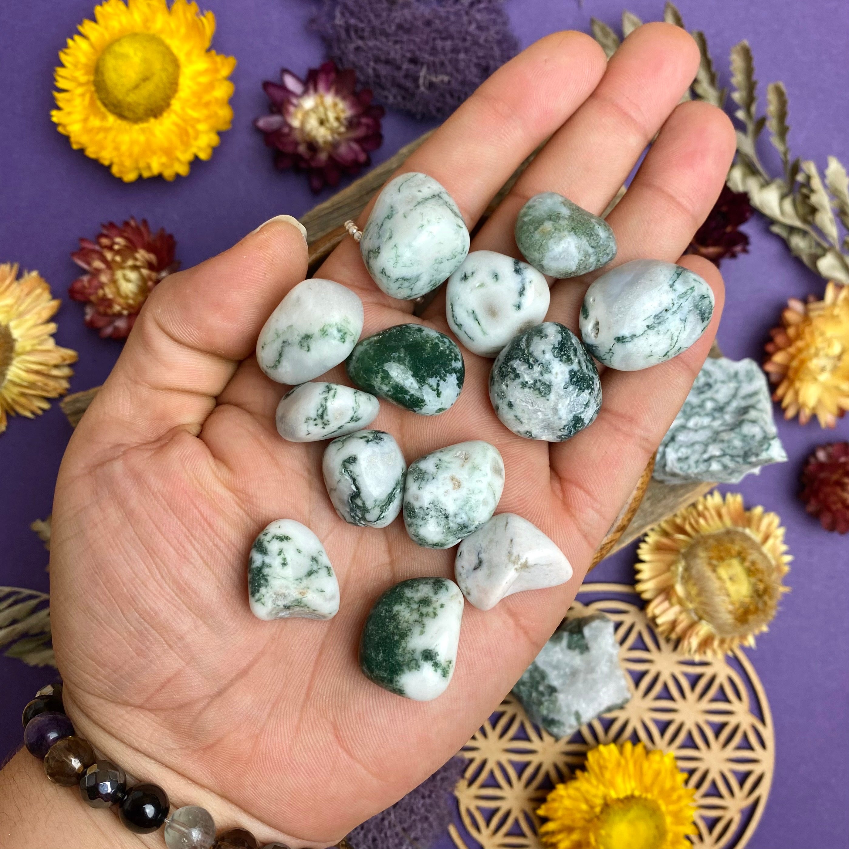 Tree Agate Tumbled Stone