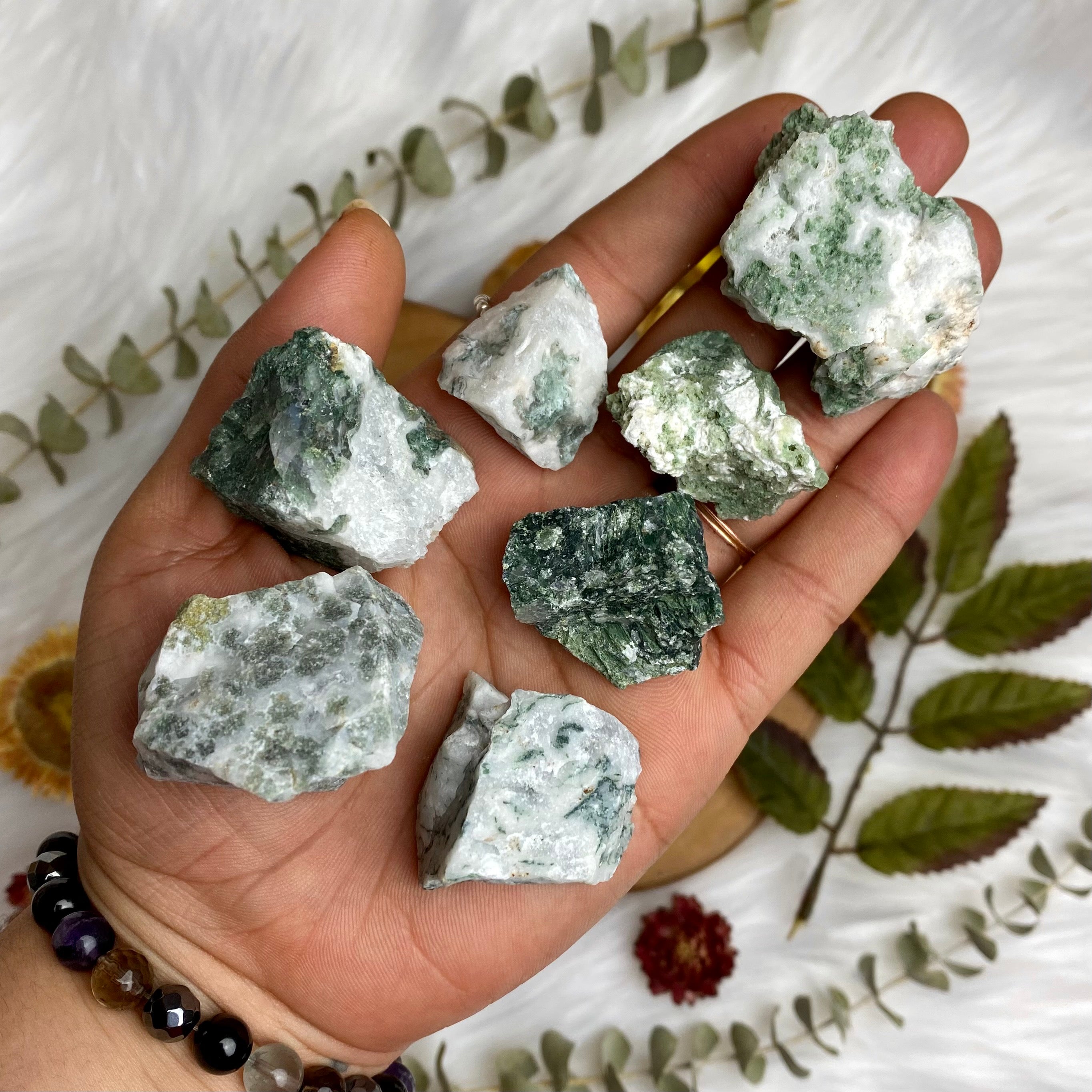 Tree Agate Raw Chunk