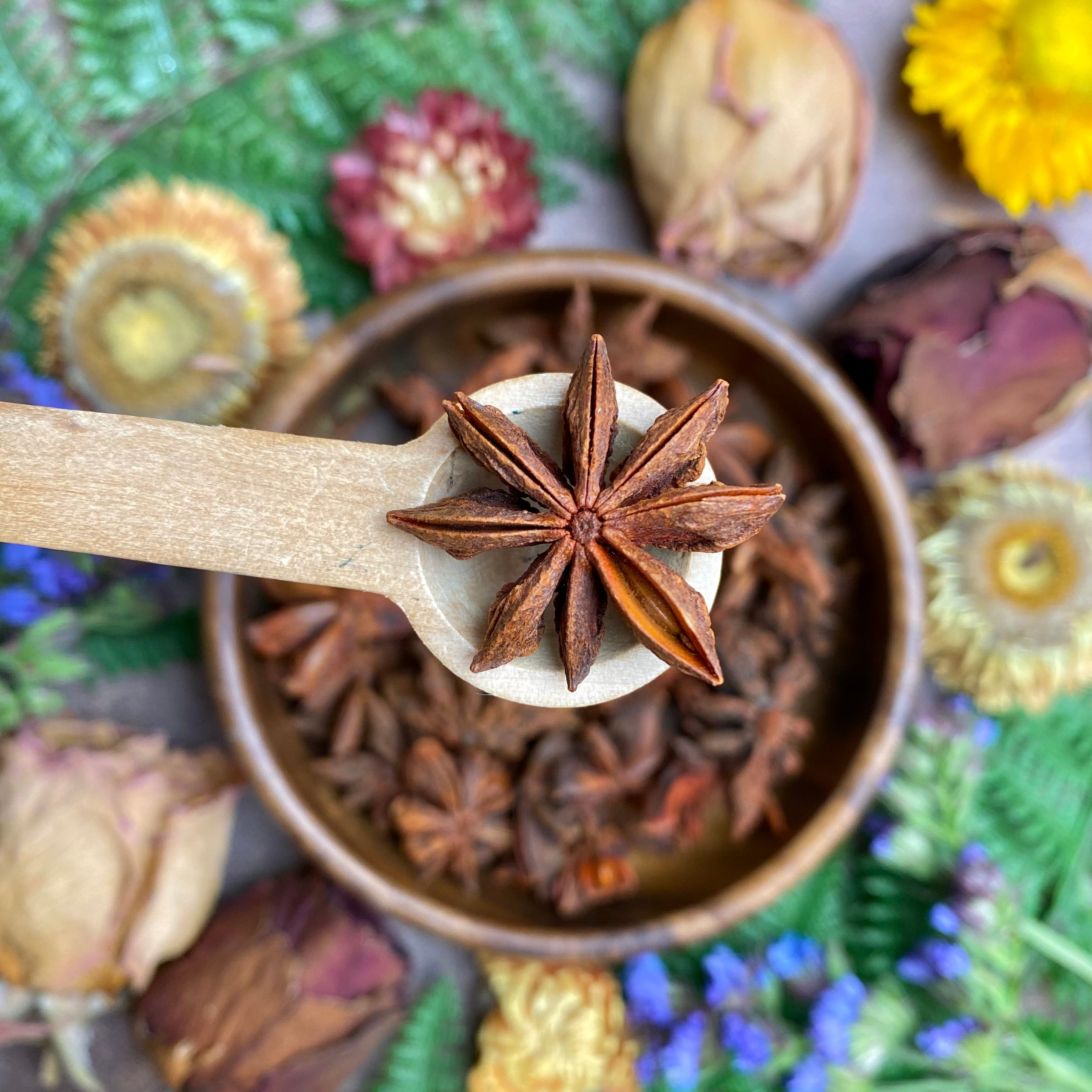Star Anise