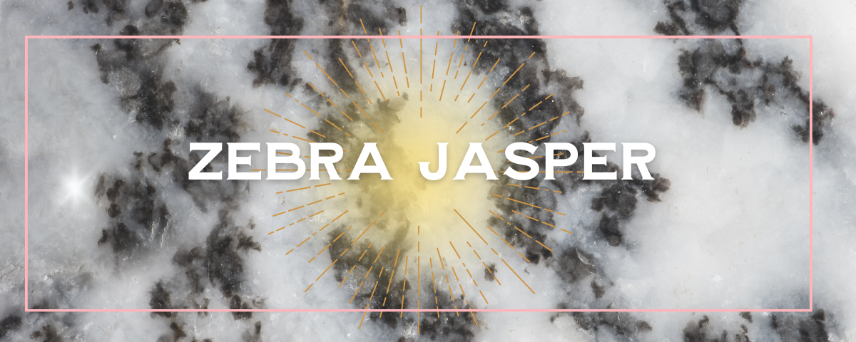 Zebra Jasper
