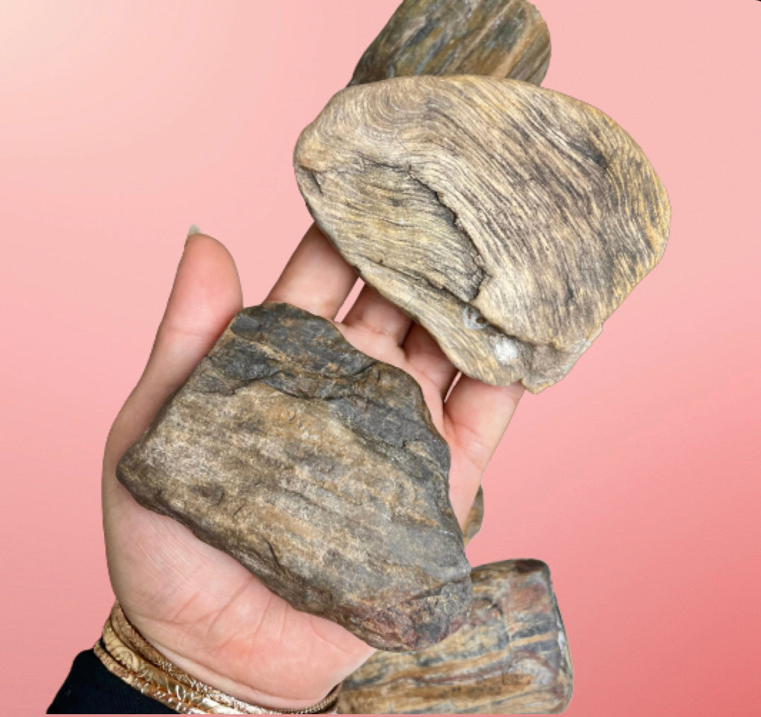 Petrified Wood