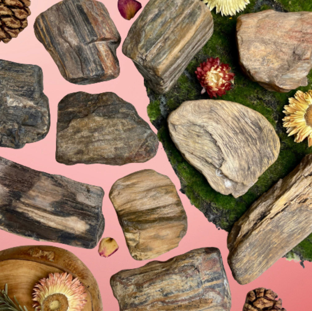 Petrified Wood