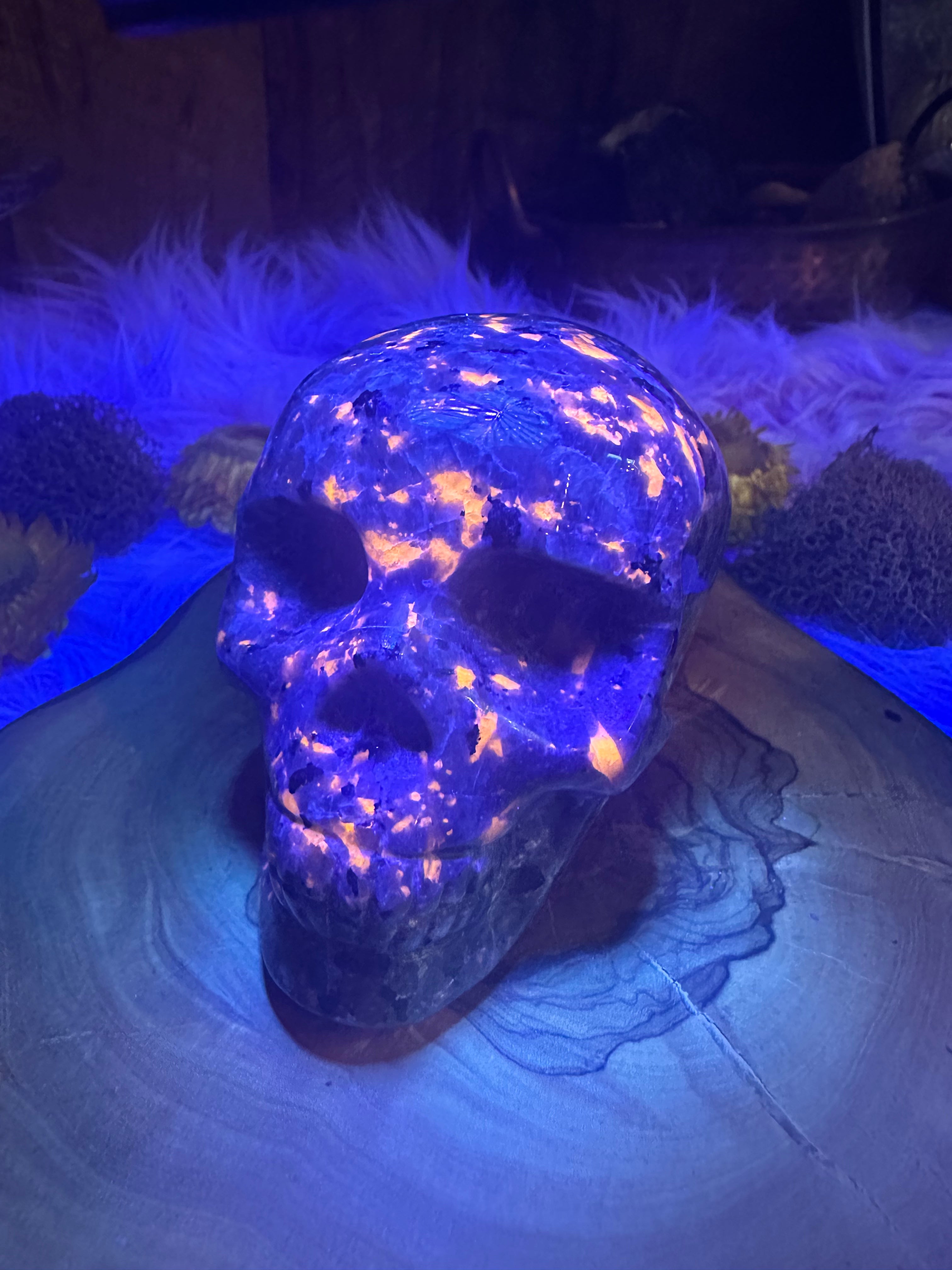 Flame Stone Yooperlite Skull