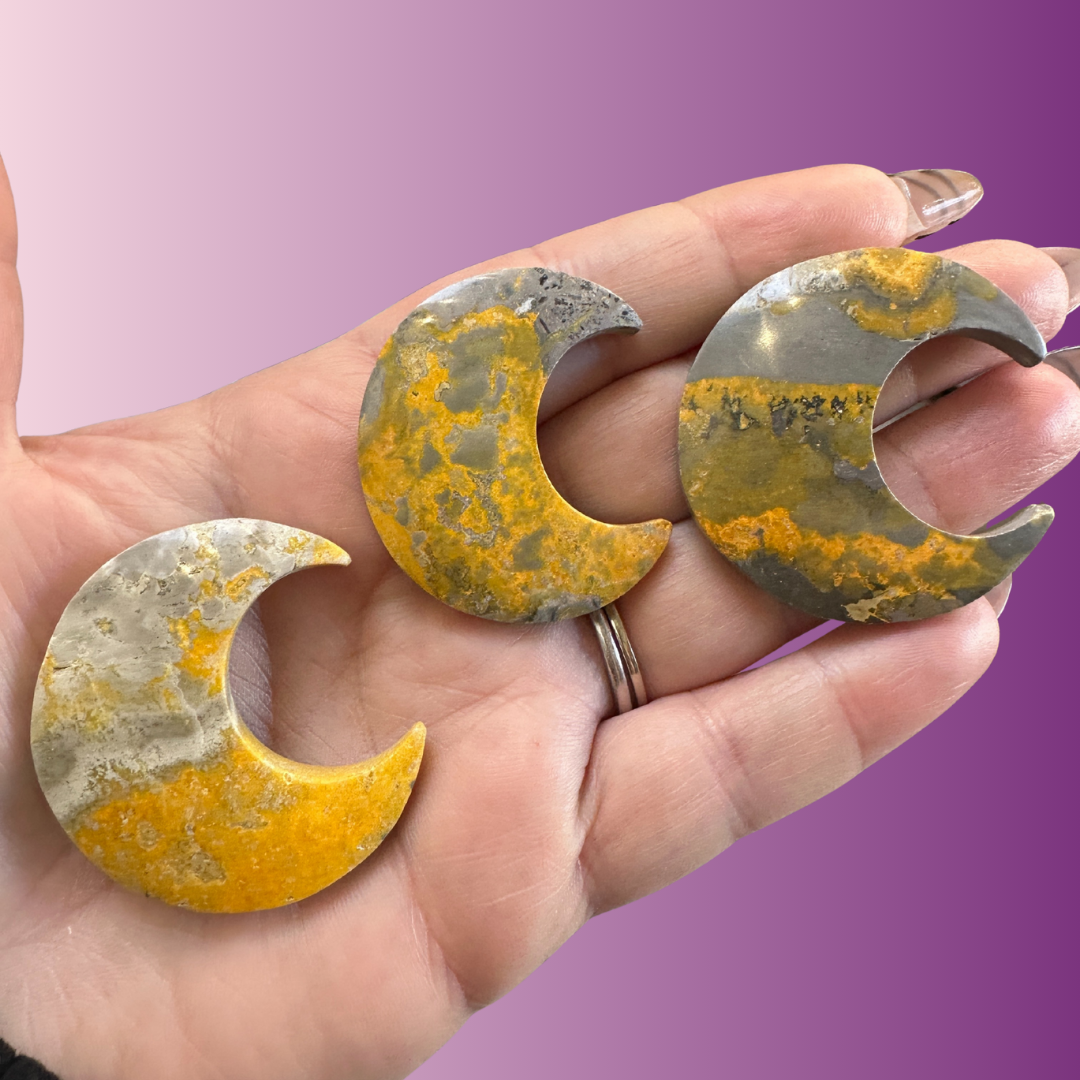 Bumblebee Jasper Moon