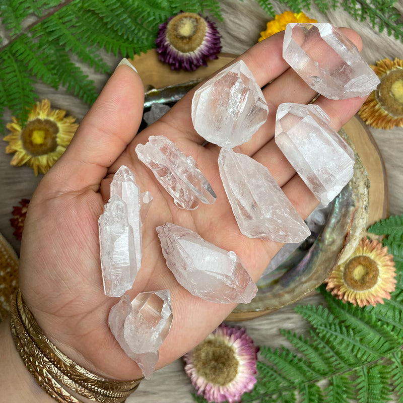 Pink Lemurian Seed Colombian Quartz Points