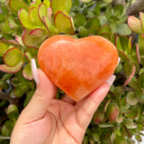 Peach Selenite Satin Spar Hearts