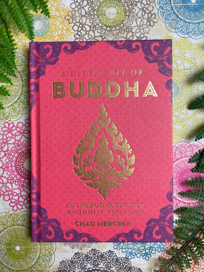 A Little Bit of Buddha: An Introduction to Buddhist Thought