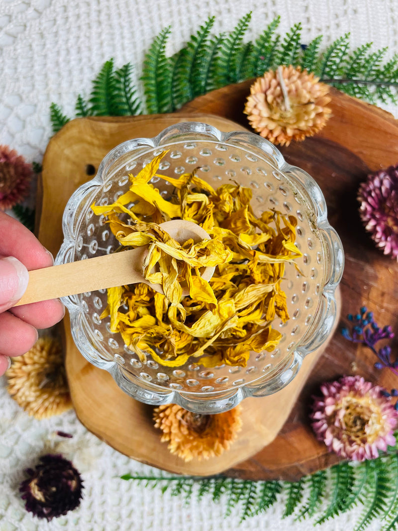 Sunflower Petals