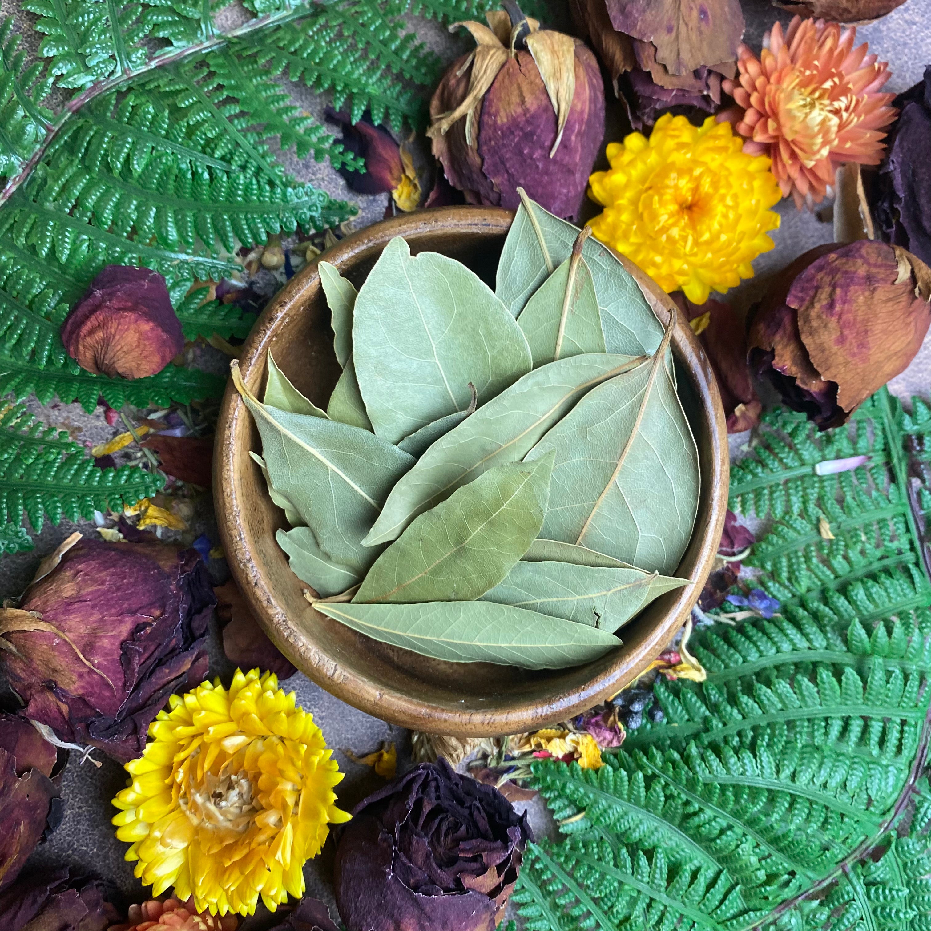 Bay Leaves for Manifesting