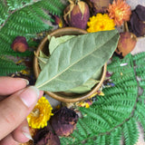Bay Leaves