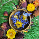 Blue Lotus Dried Flowers