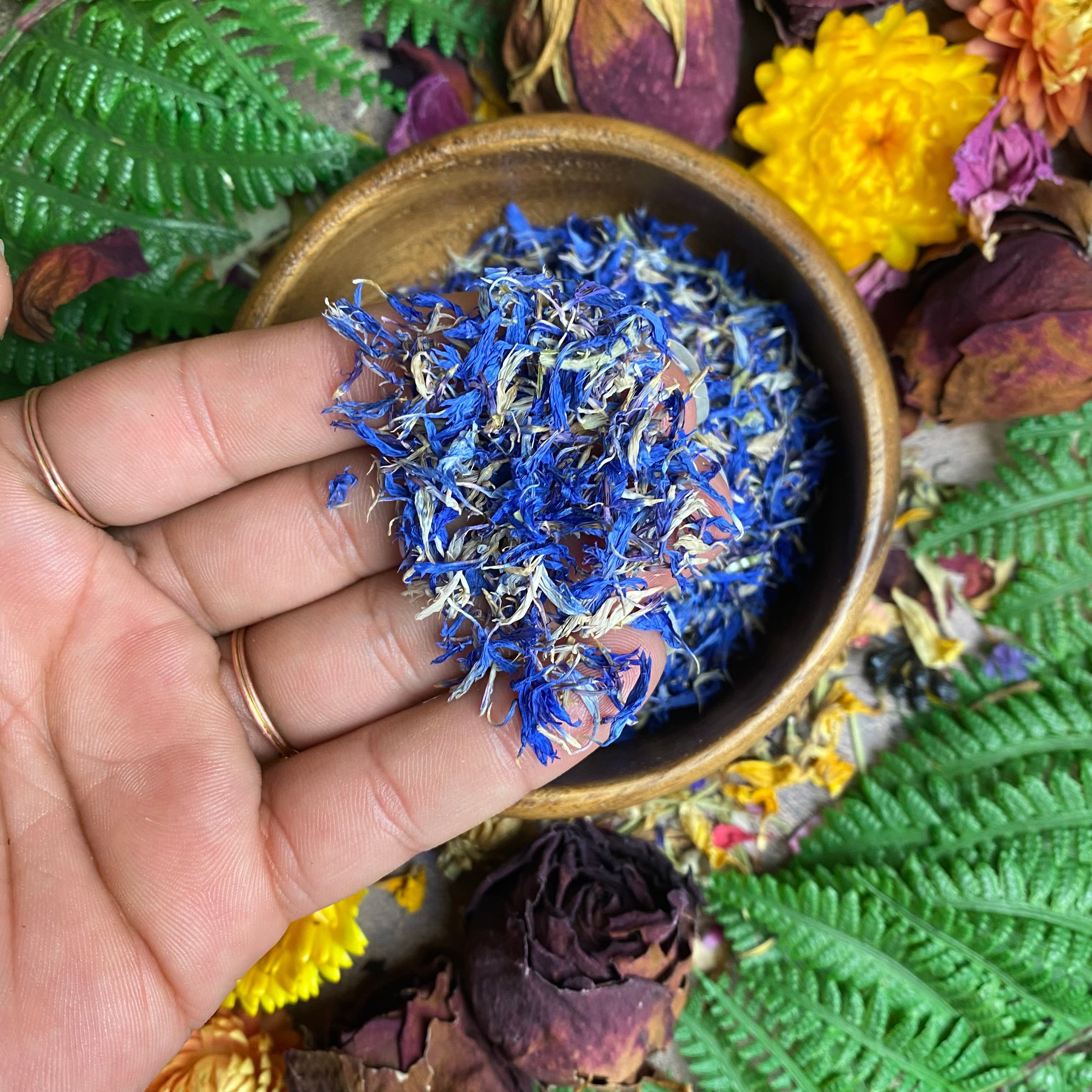 Cornflower Dried Petals