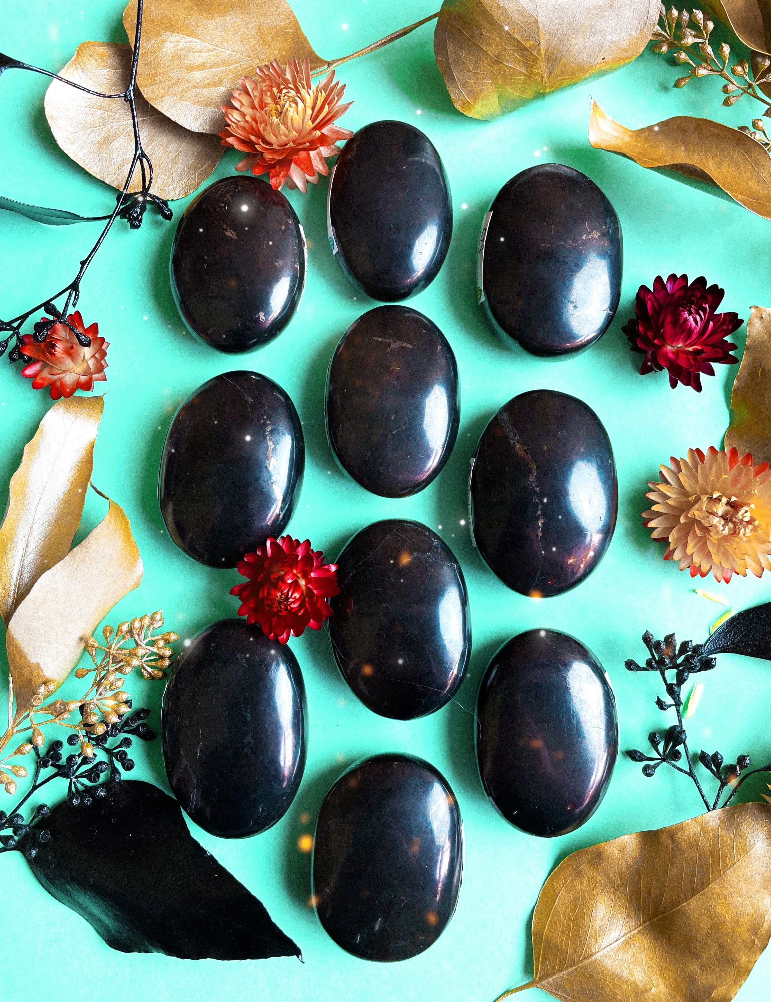 Shungite Palm Stone