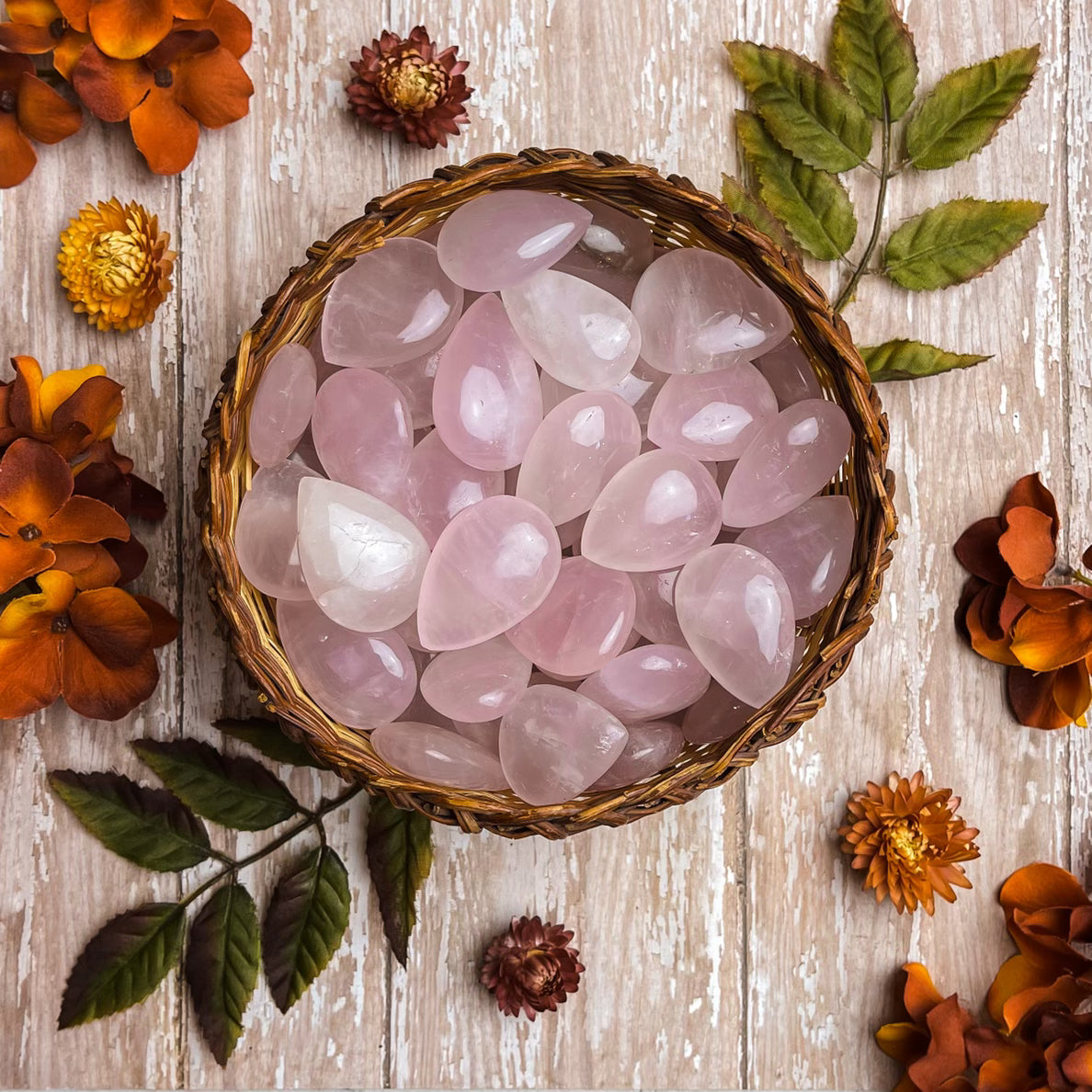 Rose Quartz Teardrops