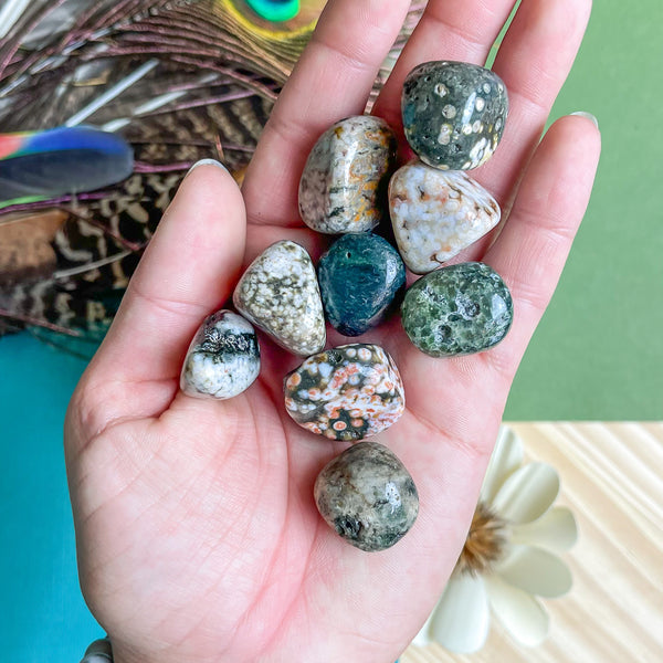 Ocean Jasper Tumbled Stones