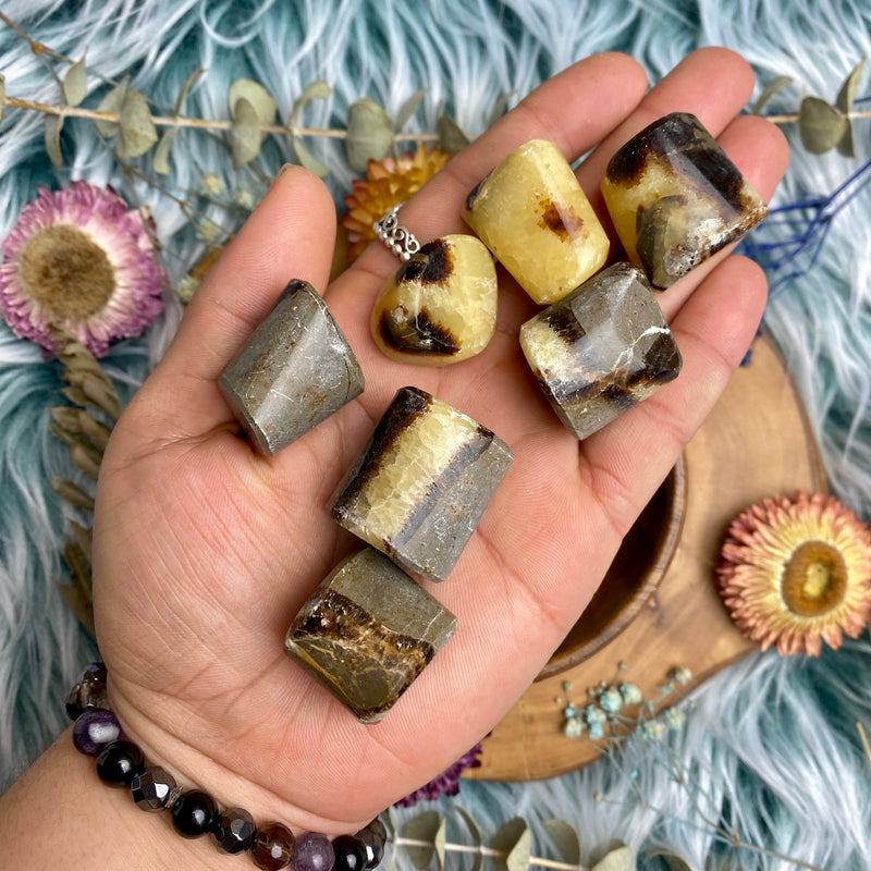 Septarian Tumbled Stone for Ancestral Connection